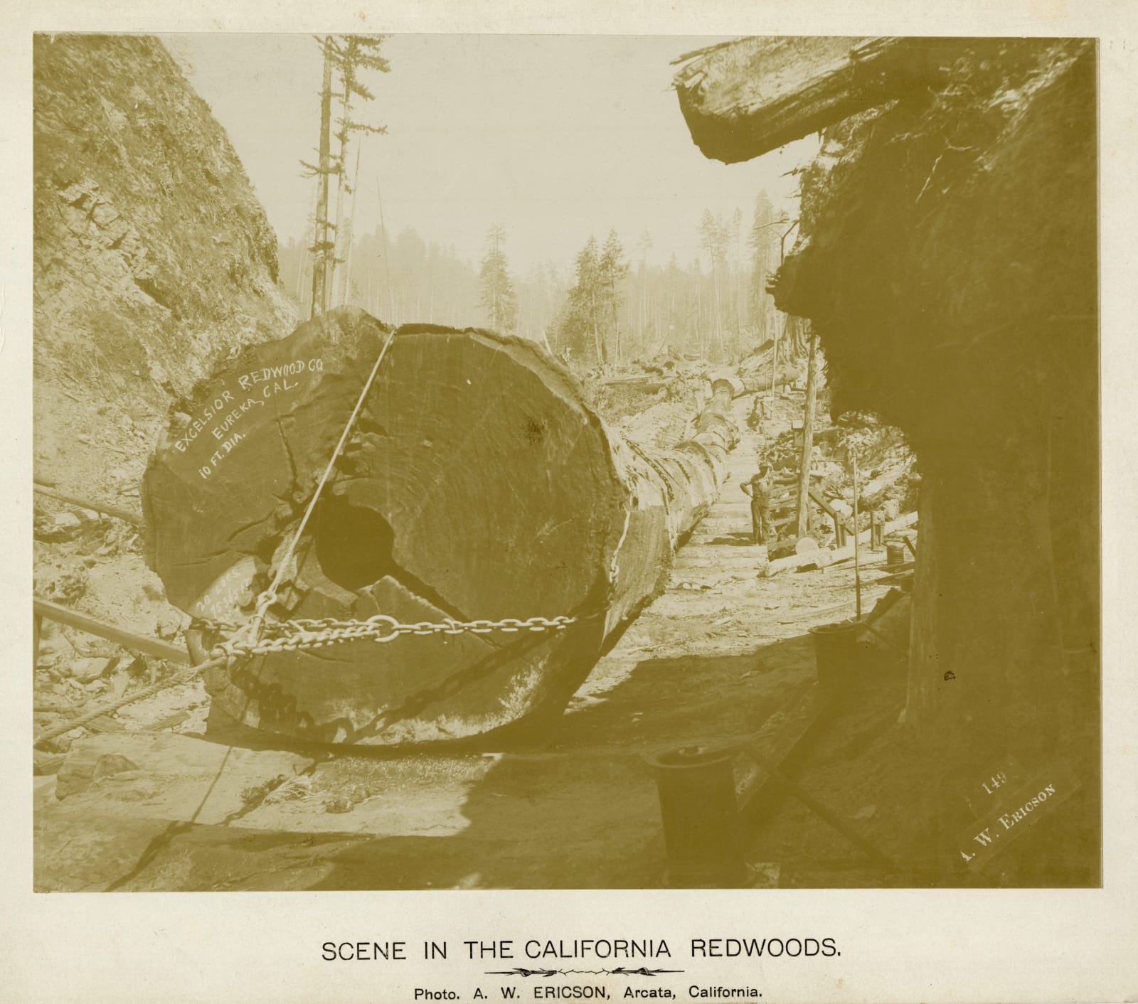A. W. Ericson; Ericson & Bros, Early, Large-Format Views of the Lumber Industry In and Around Arcata, CA, 1880s