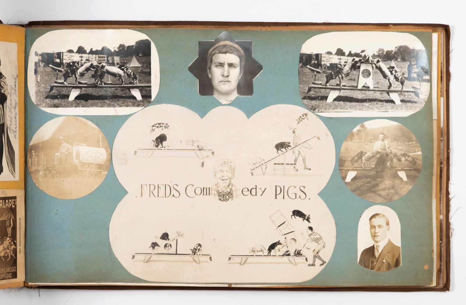 [Fred's Classical Pigs], Wild and Wonderful Album Documenting Fred Fred Kerslake and His Porcine Performers, 1900s-20s