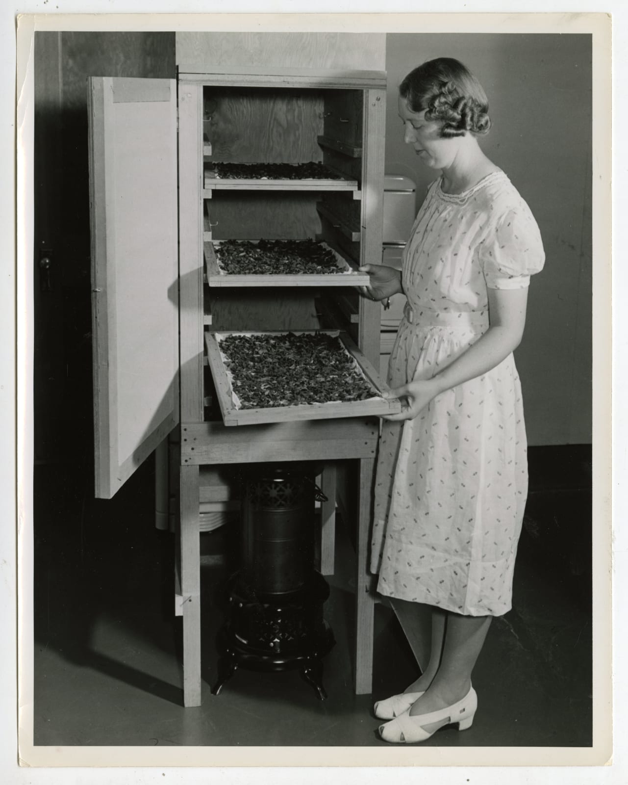 Various Photographers, Large Group of Photos Demonstrating Home-Canning as Part of the "Victory Gardens" War Effort, 1942-44