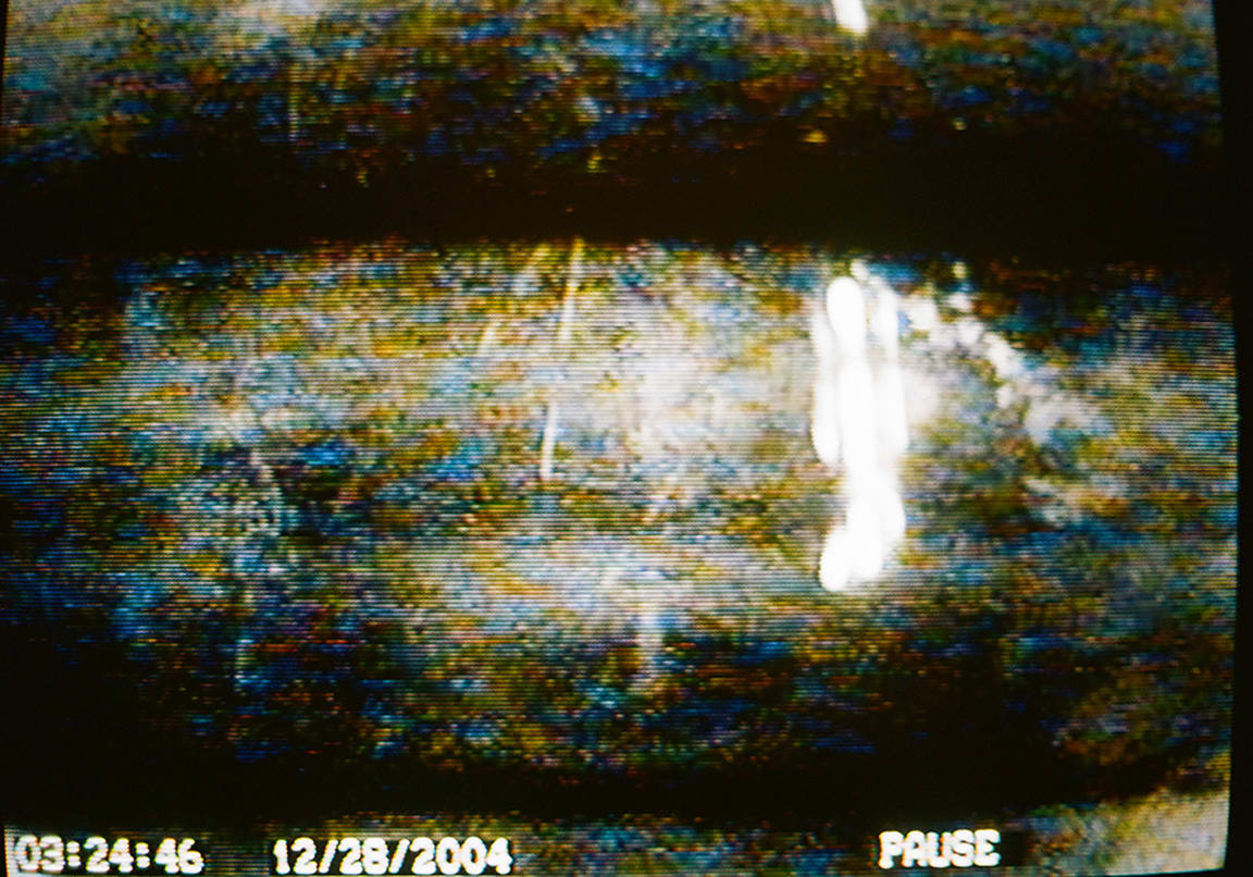 KALI, Untitled (Figure # 1), Pacific Palisades, CA, 2004