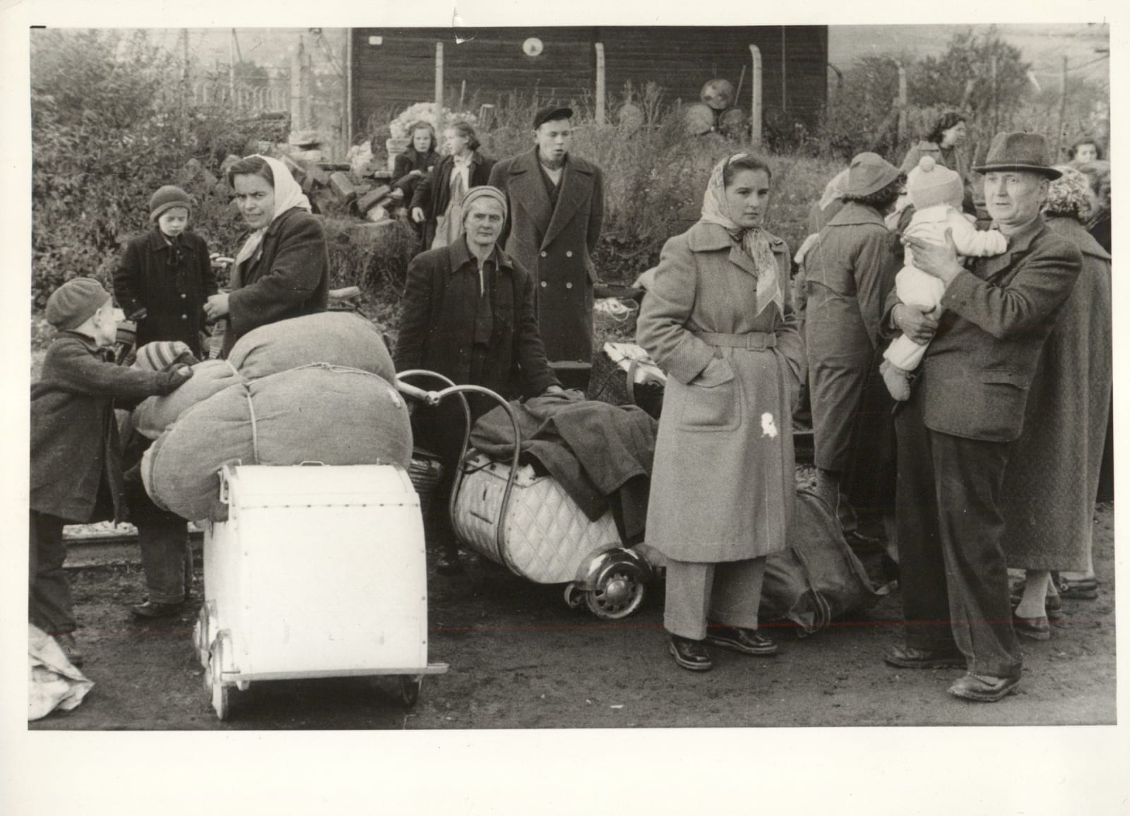 [Hungarian Revolution], Photo-journalistic account of the 1956 uprising, 1956-57