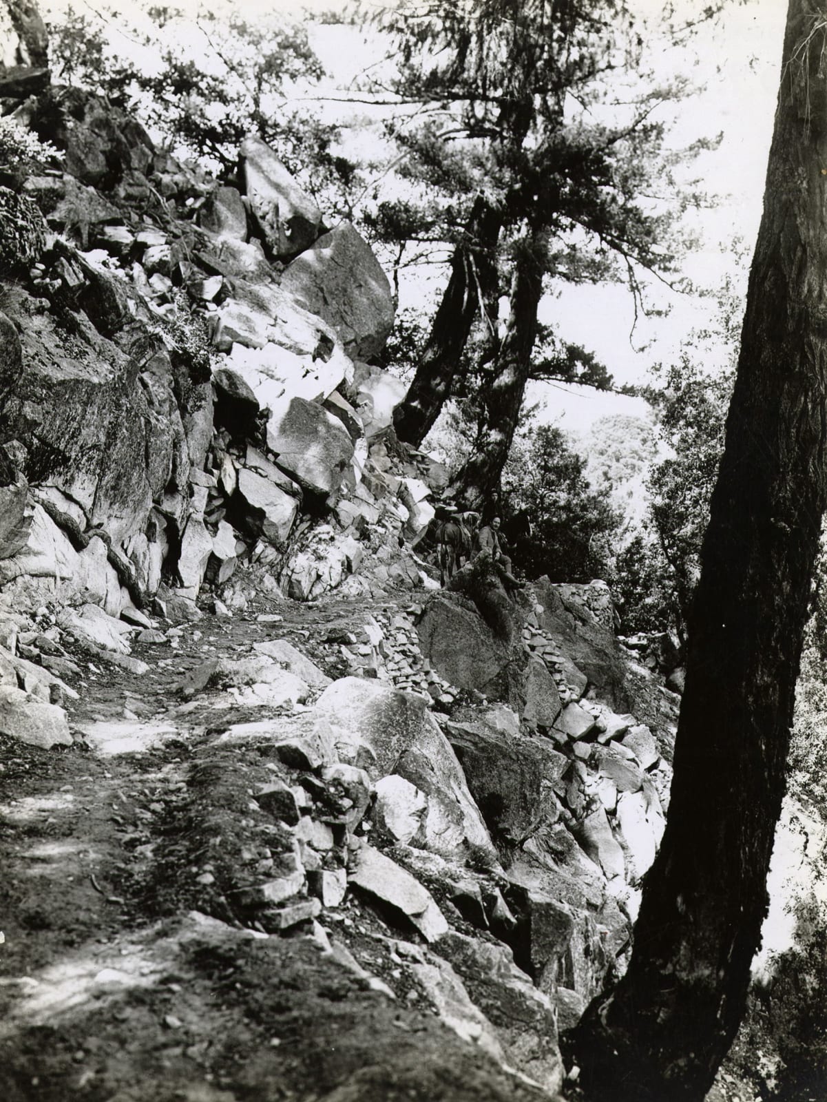 Various Photographers, Group of Photographs of Mt. Wilson, c. 1900-1920