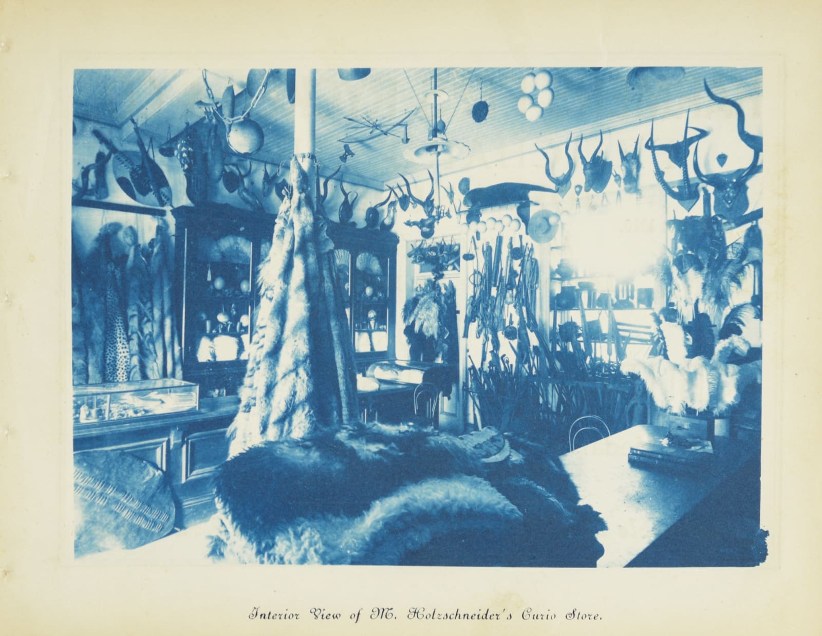 South Africa, Businesses in Johannesburg, South Africa, 1890s
