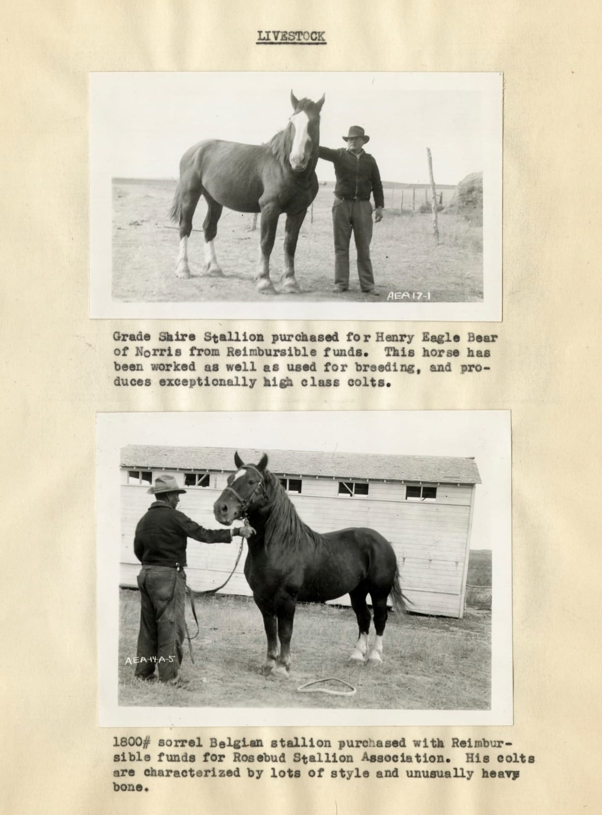 Carl B. Aamodt, Photographically-Illustrated Annual Report of the Division of Extension and Industry on the Rosebud Reservation, 1937