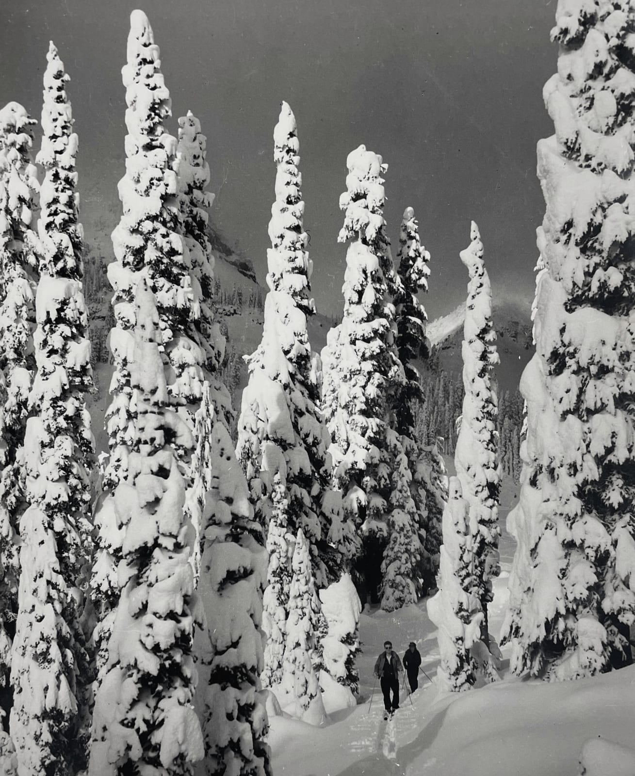 Walt P. Dyke, Untitled (Two skiers in forest), c. 1950