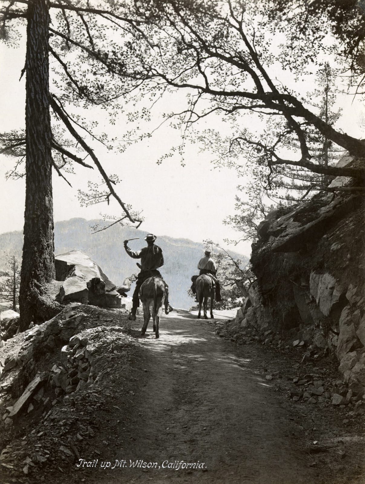 Various Photographers, Group of Photographs of Mt. Wilson, c. 1900-1920