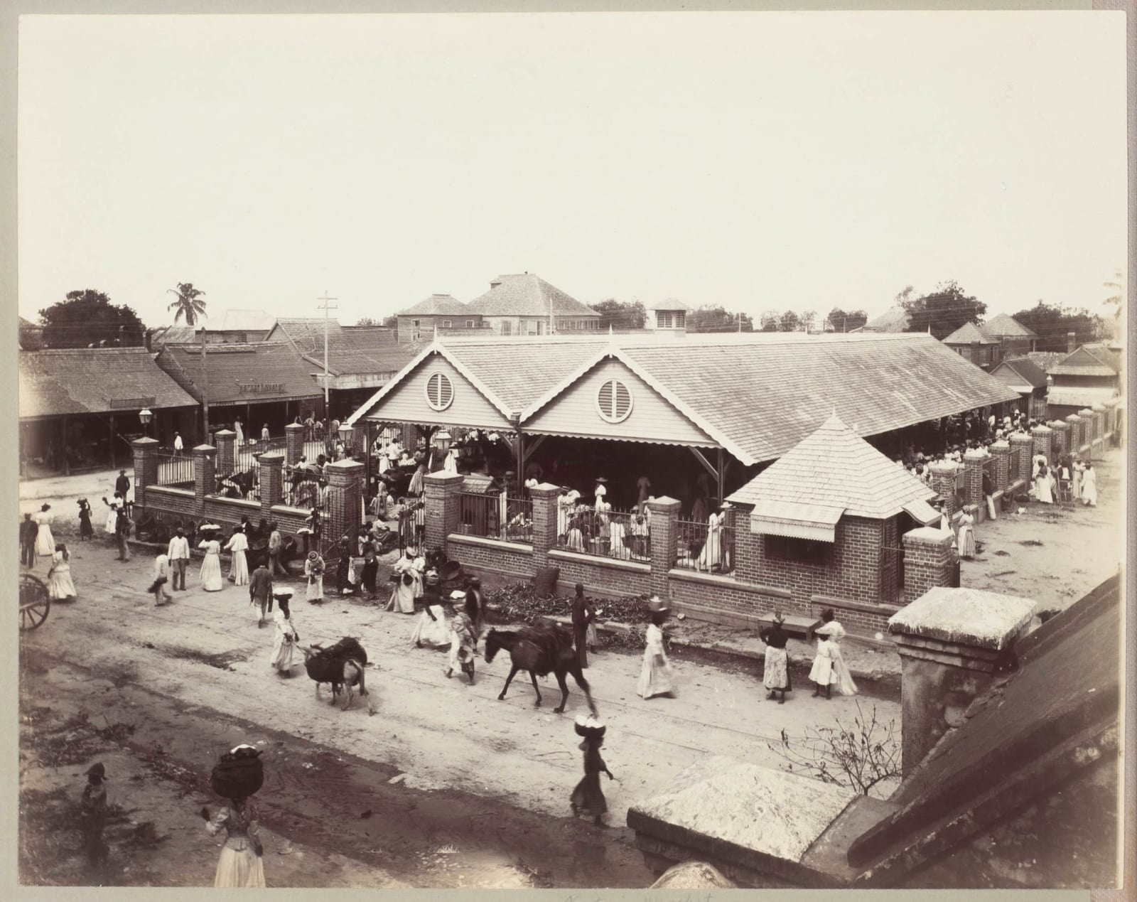 Jamaica, Handsome Album with 17 Large-Format Views of Jamaica, 1890s