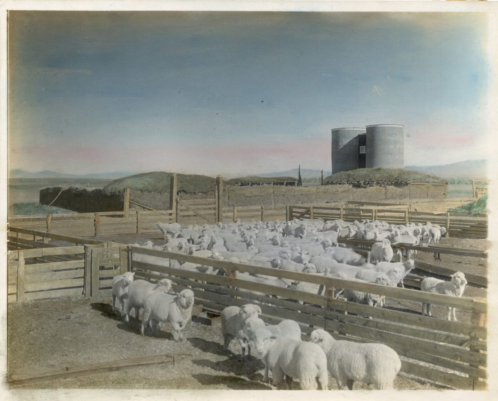 O.T. Davis, Hand-Colored Photos of a Colorado Farm, 1920s
