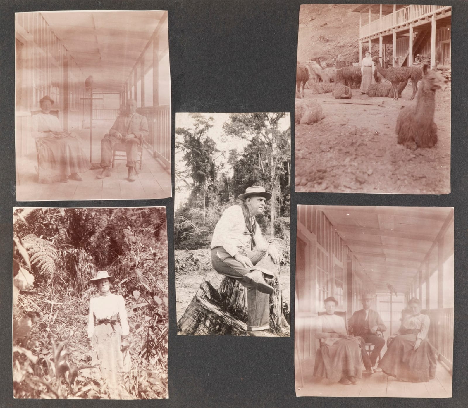 W.T. Burres, Photographic Archive of a Californian Adventurer and Doctor in South America, 1903-1918