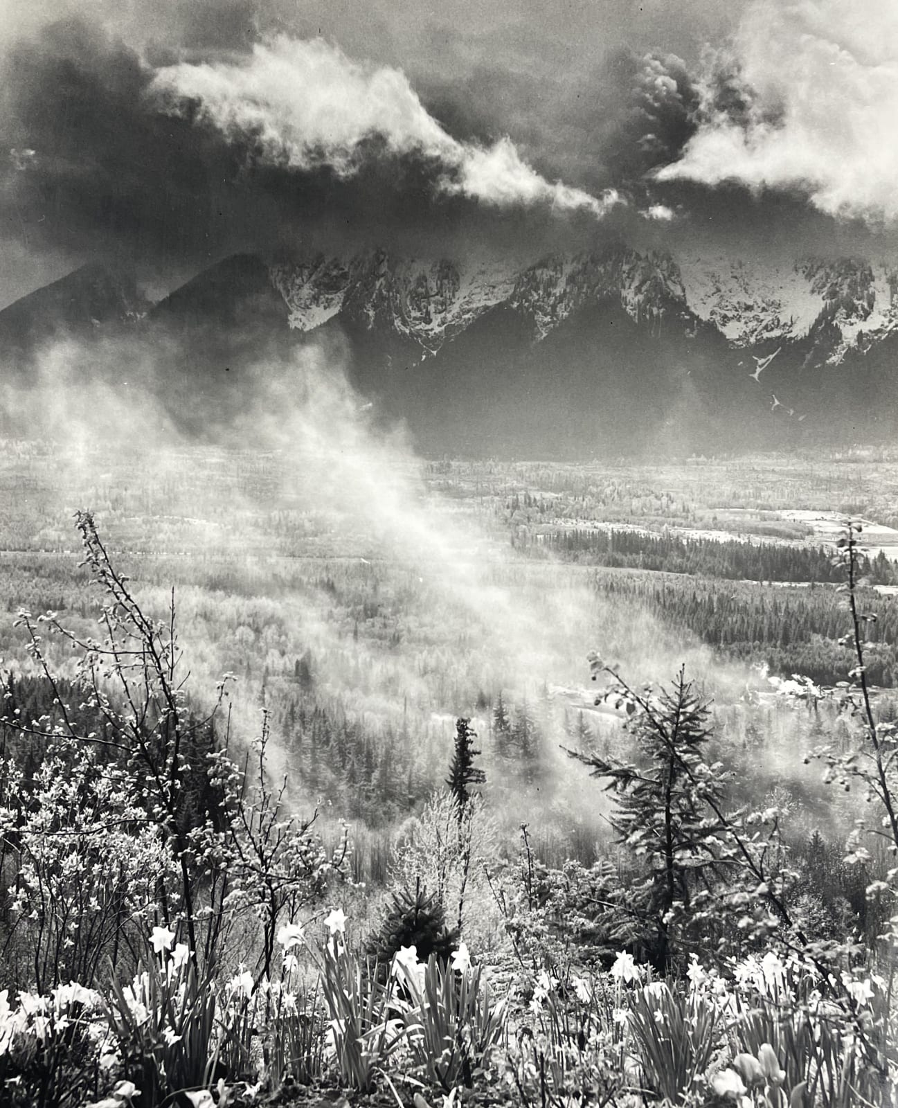 Walt P. Dyke, Above the STILLaguamish, c. 1950