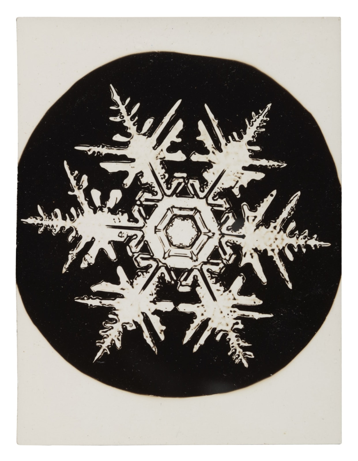 Wilson A. Bentley, Snowflake (February 23), c. 1900-1910