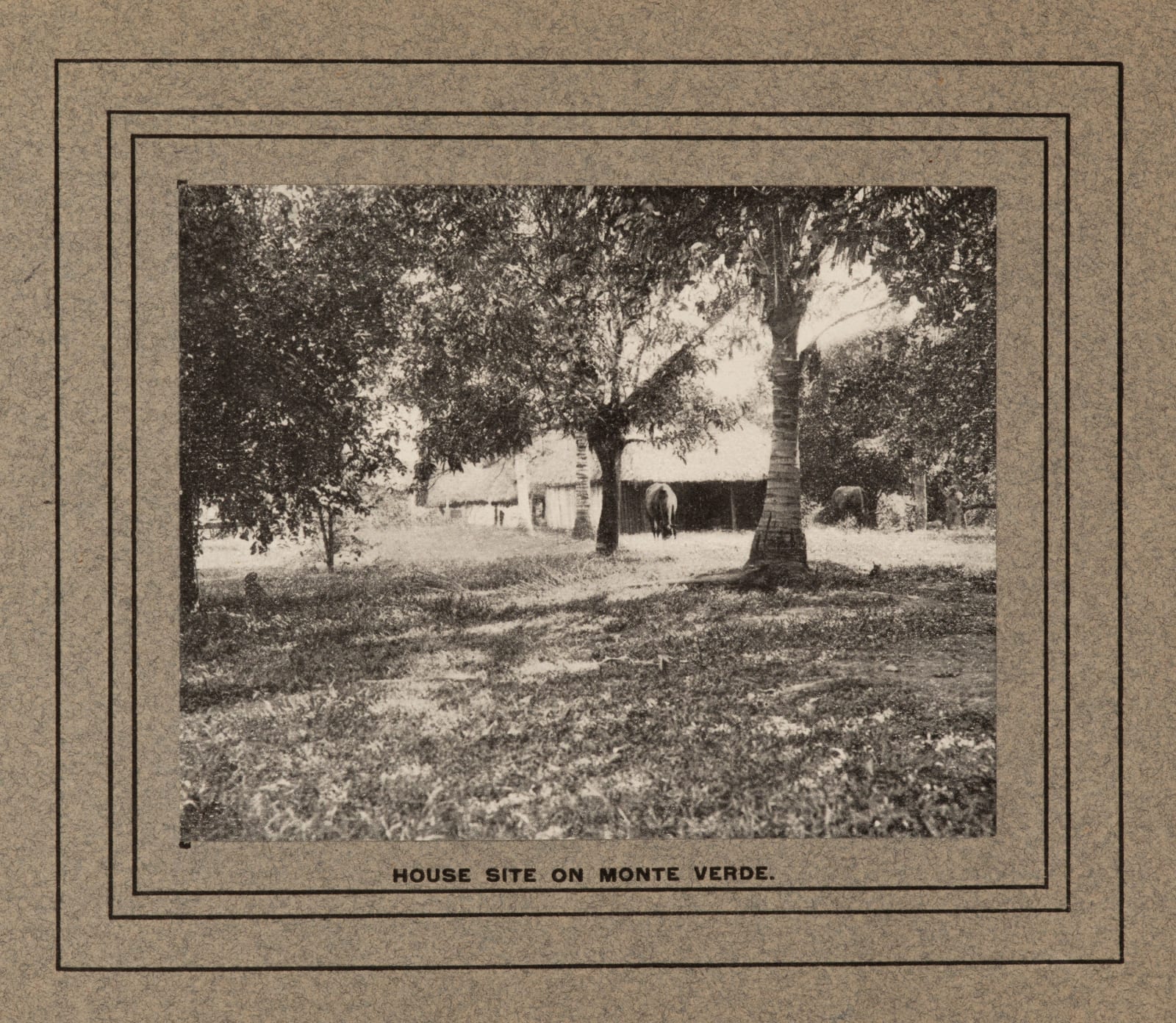 [Continental Commercial Company], Early 20th-Century Promotional Booklet for a Plantation in Monte Verde, Mexico, 1900s