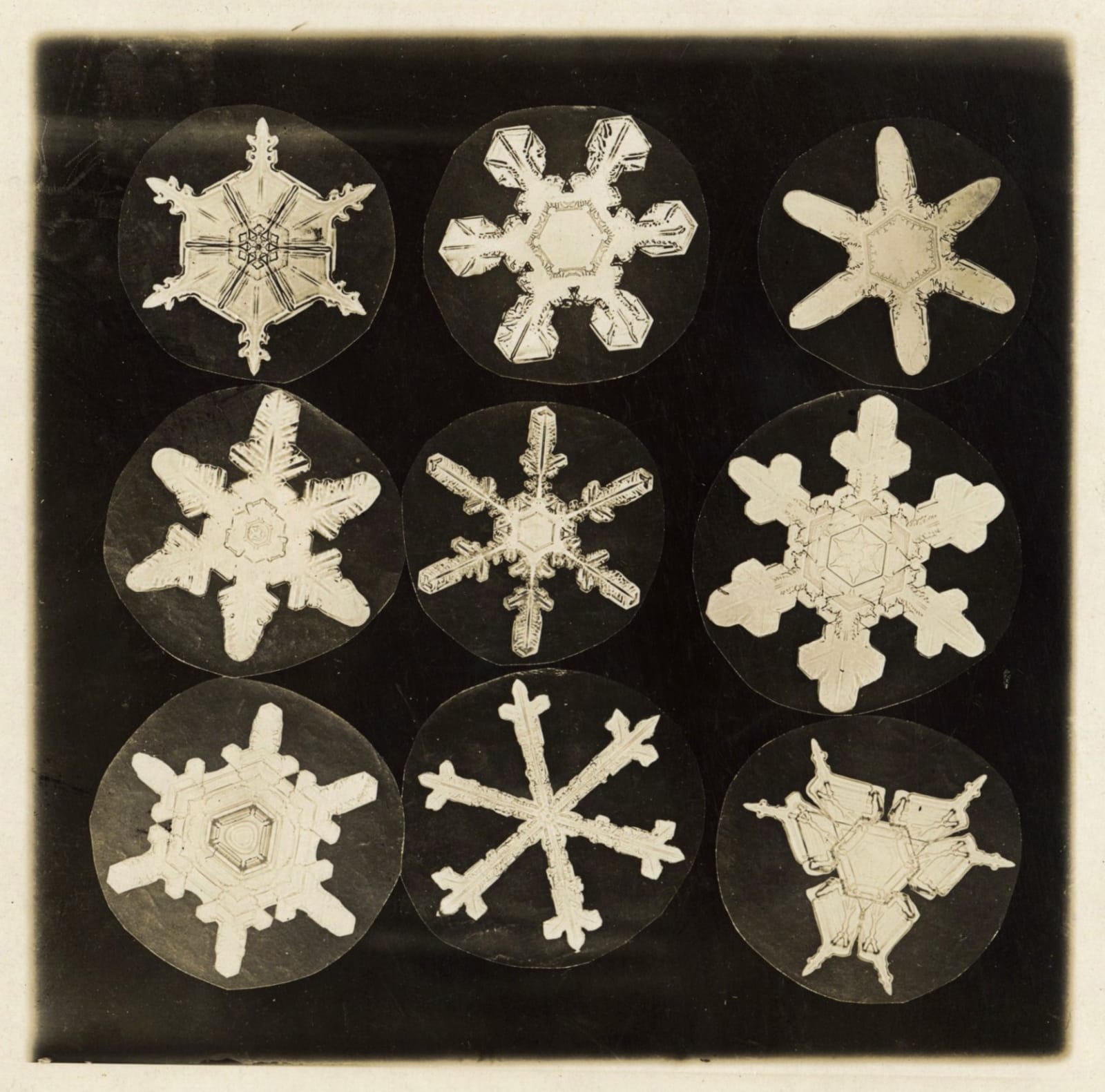Wilson Bentley, Composite of 9 Mircro-photographs of Snowflakes, c. 1905