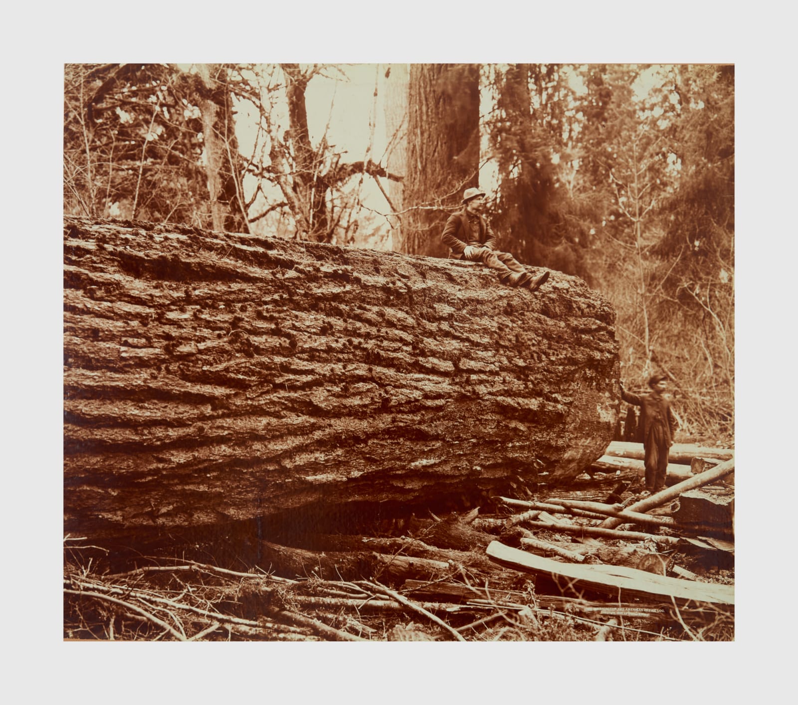 Darius Kinsey, Washington Pan American Office Log, 1902