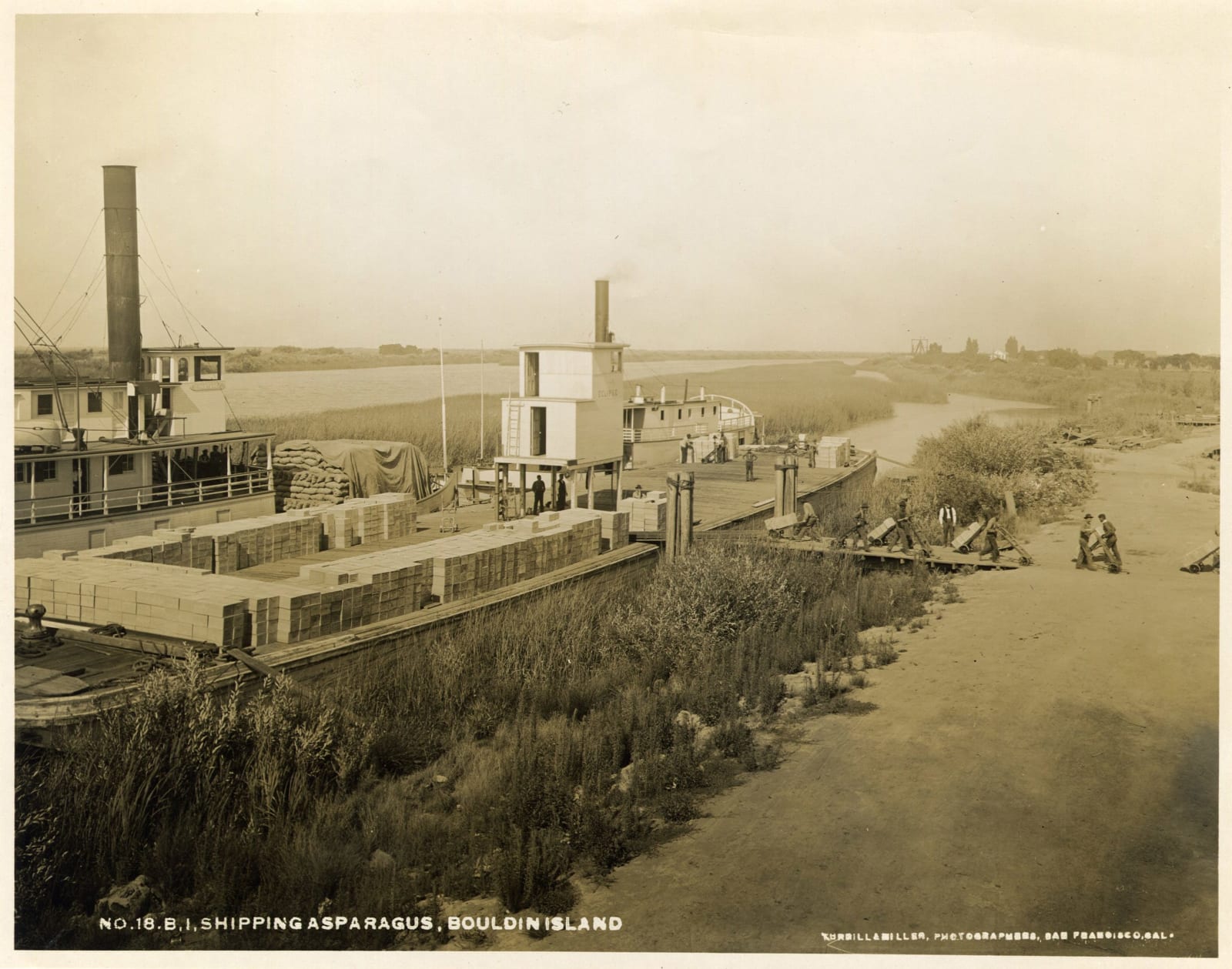 Turrill & Miller, Early 20th-Century Views of Medocino and Sonoma Counties, 1900s