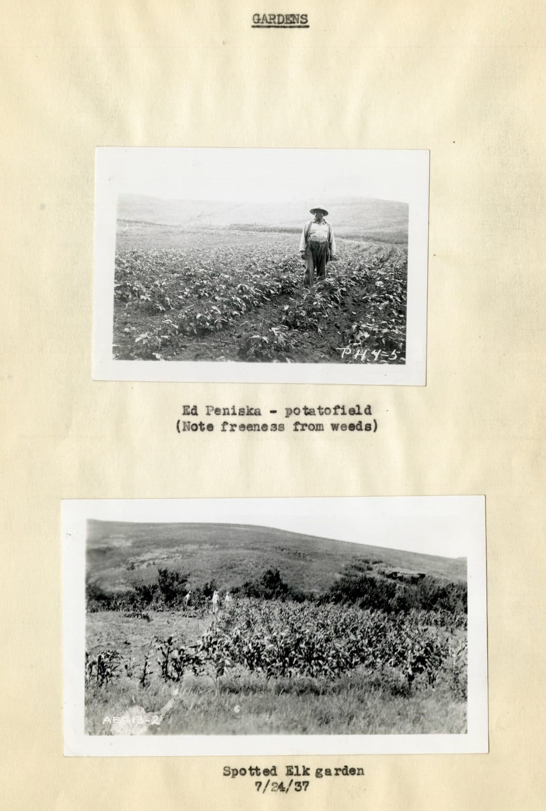 Carl B. Aamodt, Photographically-Illustrated Annual Report of the Division of Extension and Industry on the Rosebud Reservation, 1937