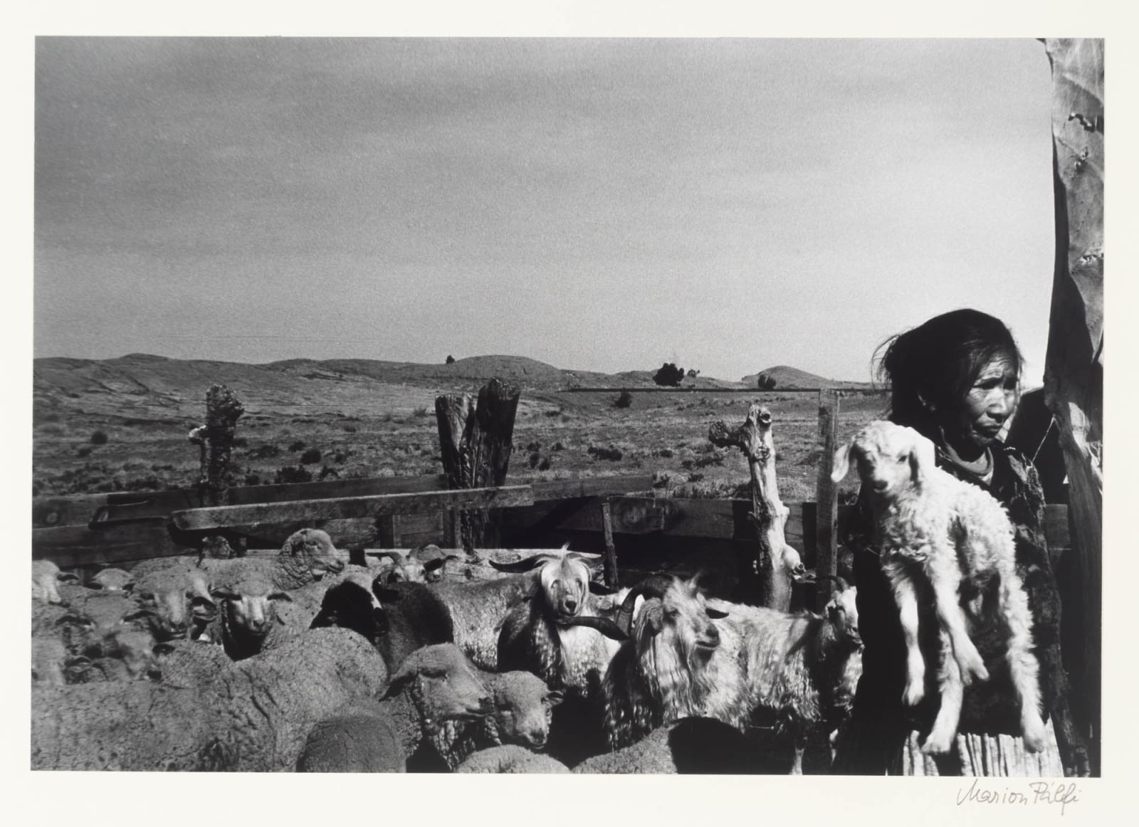 Marion Palfi, 32 Photos from "First I Like the Whites..." a Study on Native American Life, 1967-69