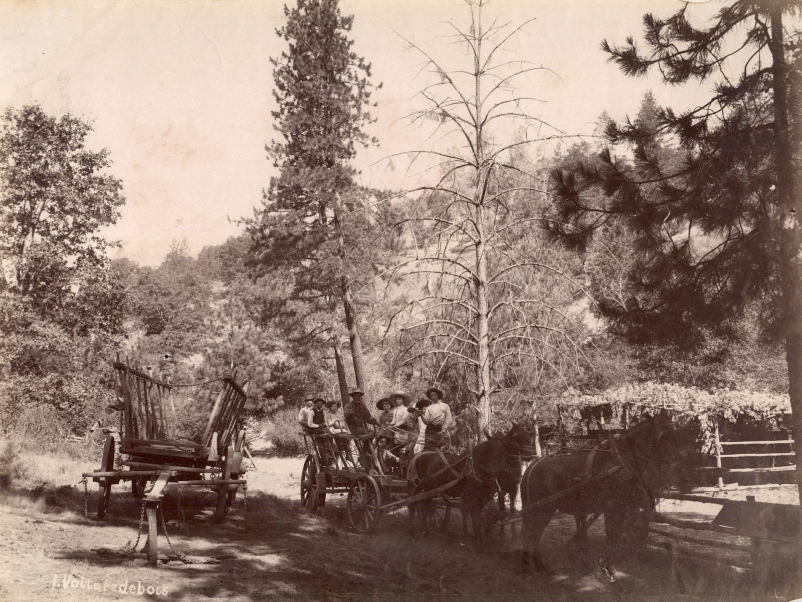 Desiré Fricot, [Scenes of Calaveras County & Yosemite Valley], c. 1890