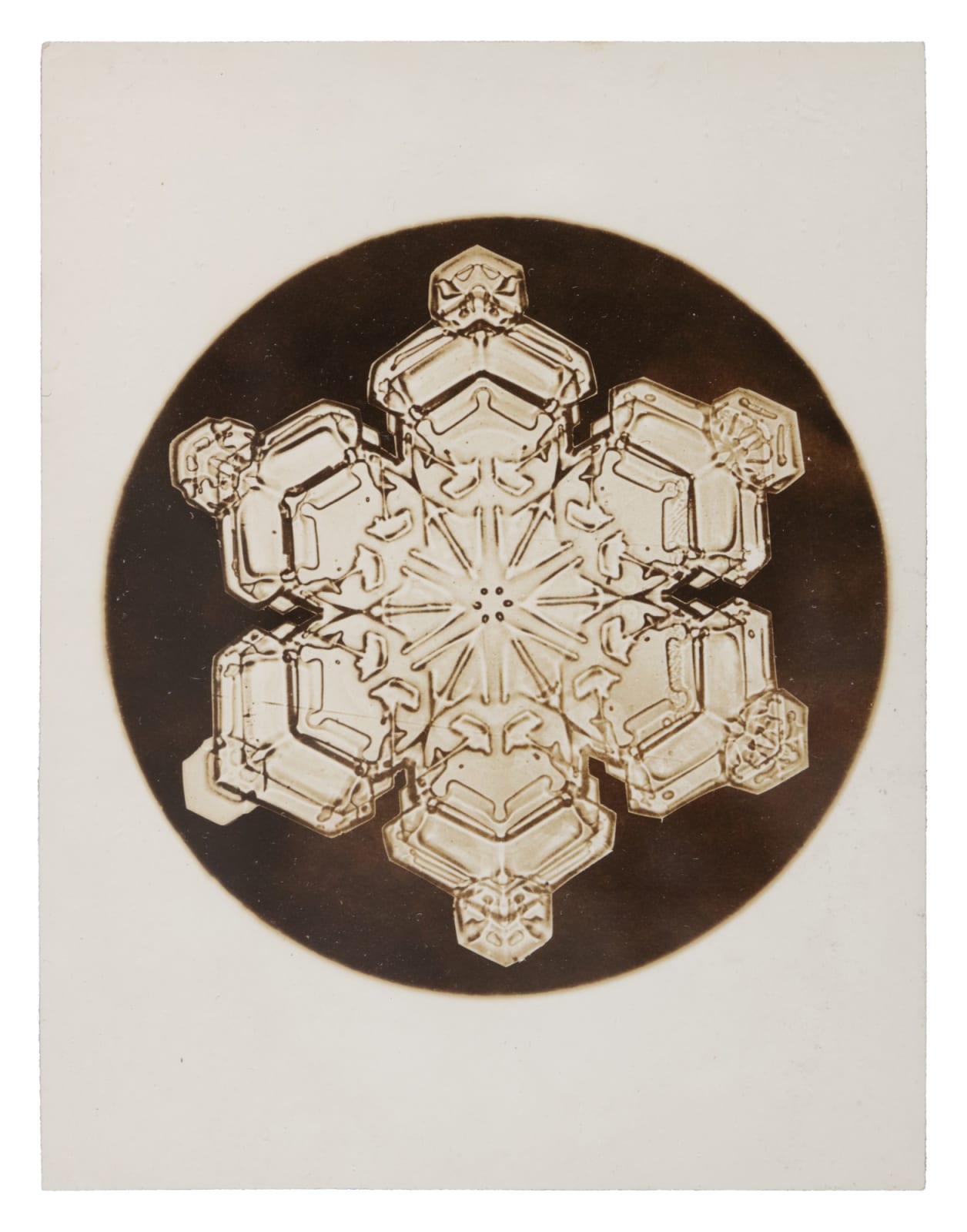 Wilson A. Bentley, Snow Crystal, c. 1900-1910