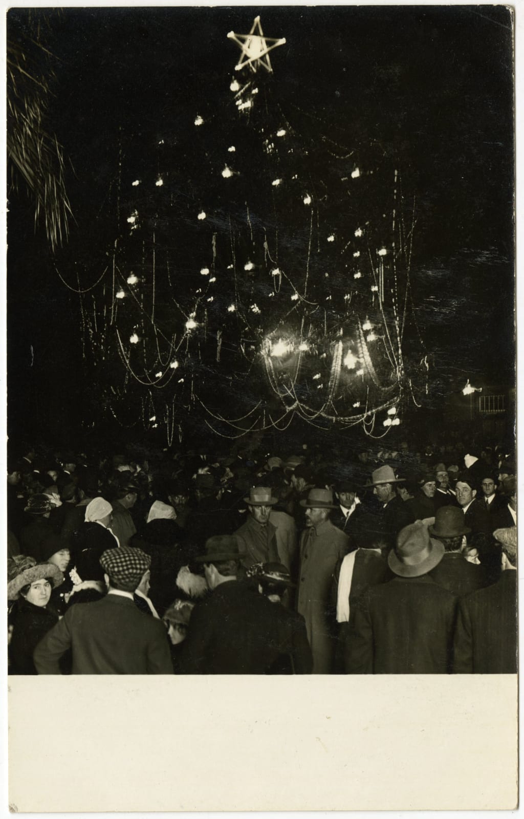 Unknown, Photo Postcard of a Christmas Tree, New York City, 1910s