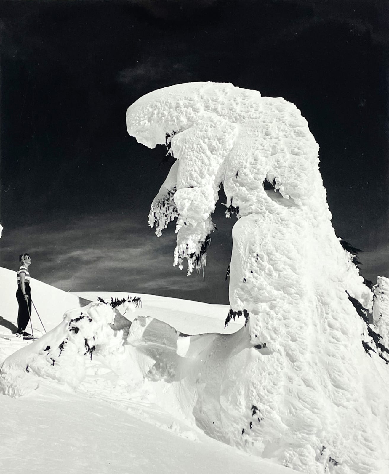 Walt P. Dyke, Untitled (Skier and Tree), c. 1950