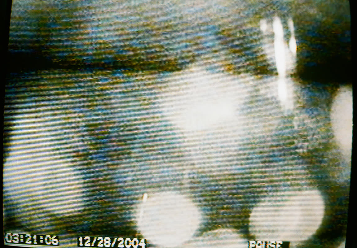 KALI, Untitled (Figure #3), Pacific Palisades, CA, 2004