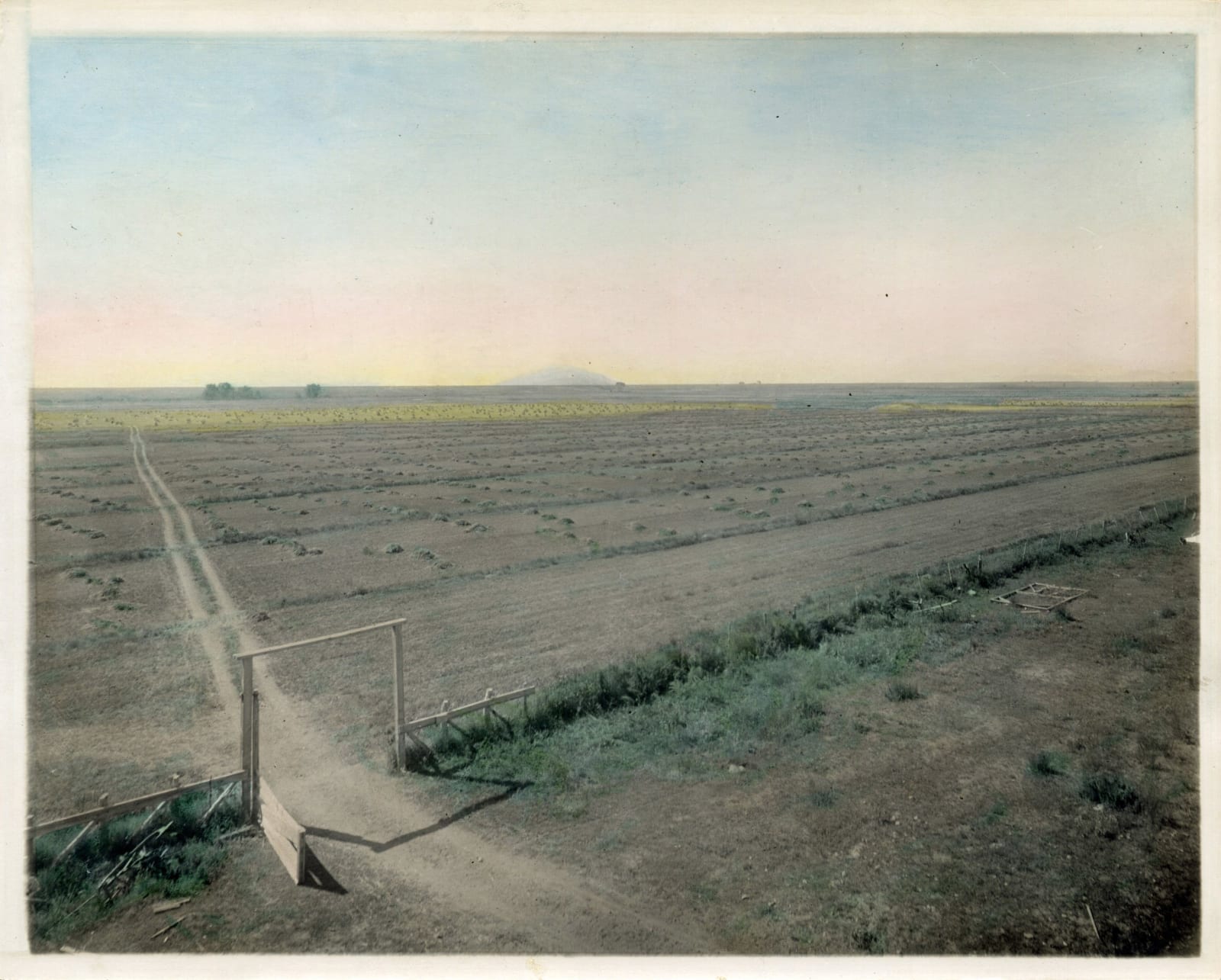 O.T. Davis, Hand-Colored Photos of a Colorado Farm, 1920s