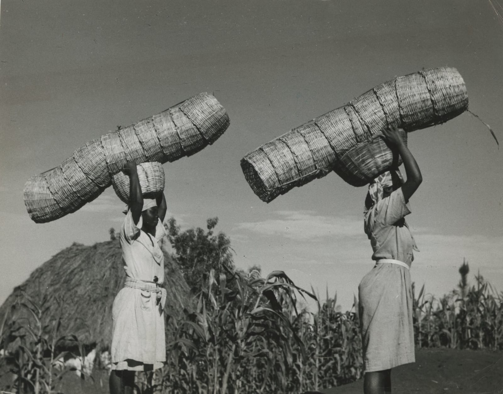 Byron Coroneos, Collection of Photos of Haiti, 1940s-50s