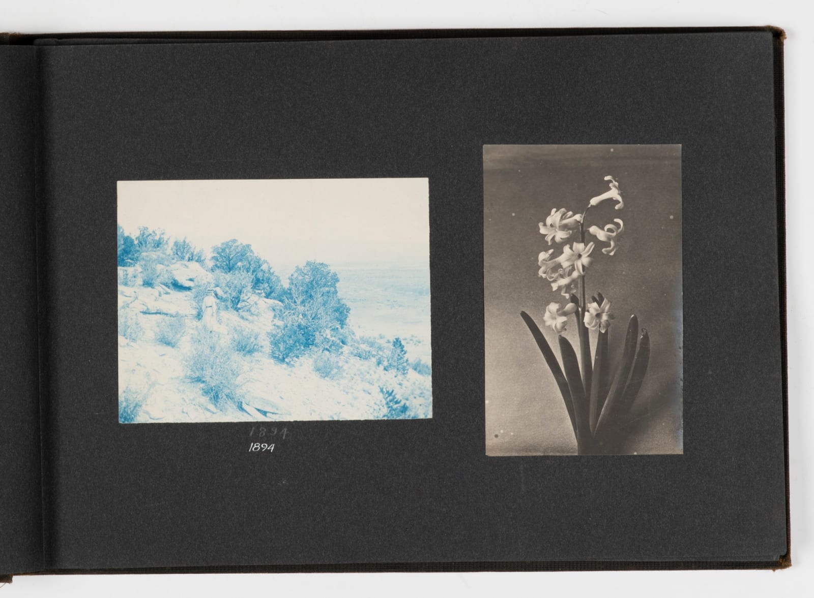 F. M. Tuckerman, Photographic Archive of an Accomplished Amateur Photographer from Topeka, KS, 1890-1900s