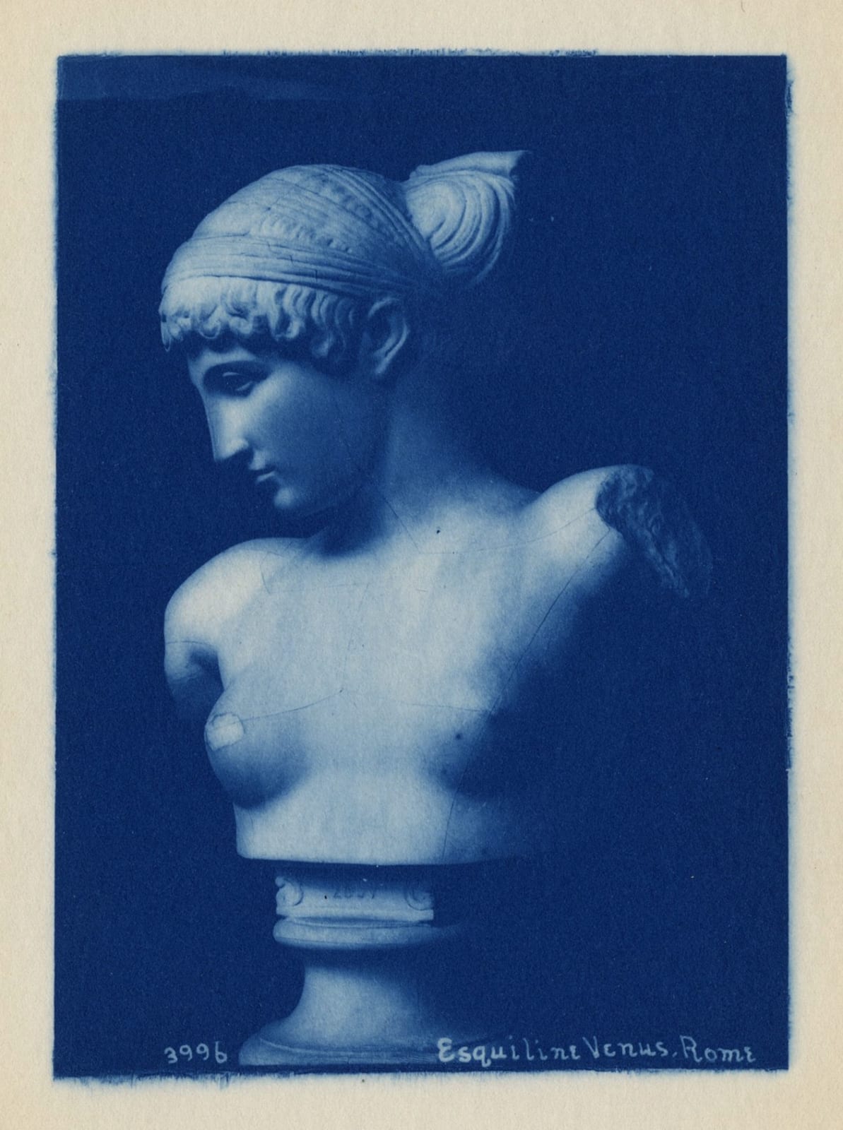 Unknown, Esquilini Venus, 1880s