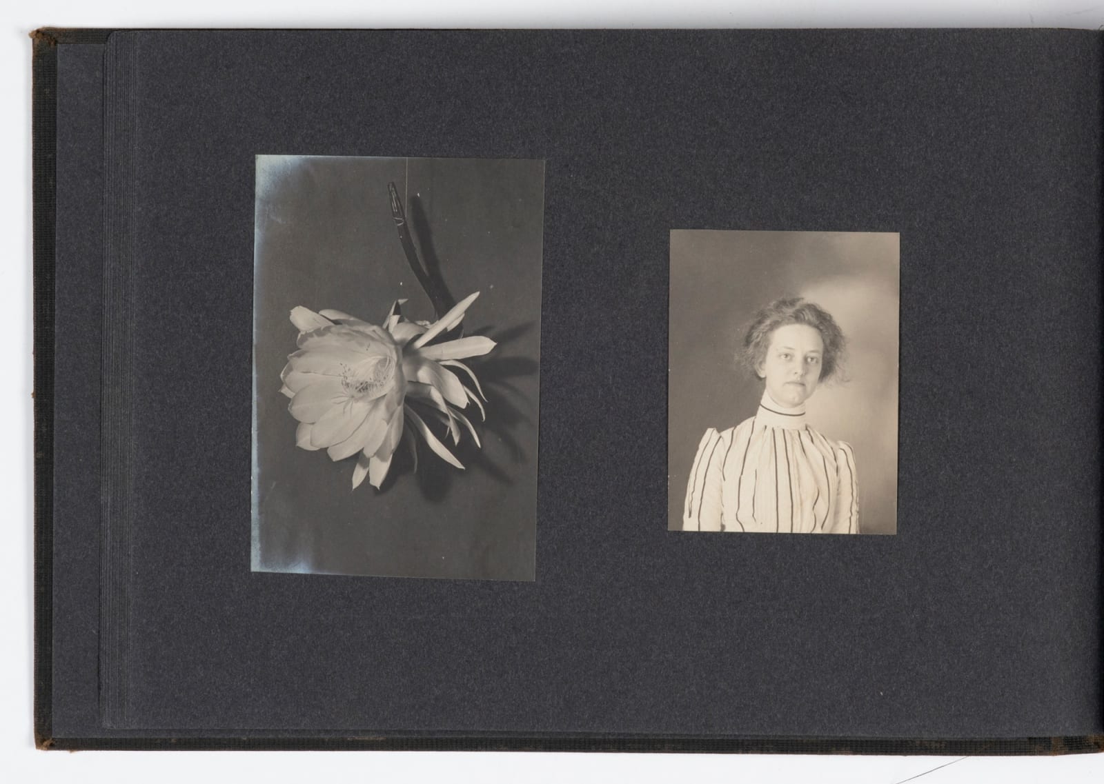 F. M. Tuckerman, Photographic Archive of an Accomplished Amateur Photographer from Topeka, KS, 1890-1900s