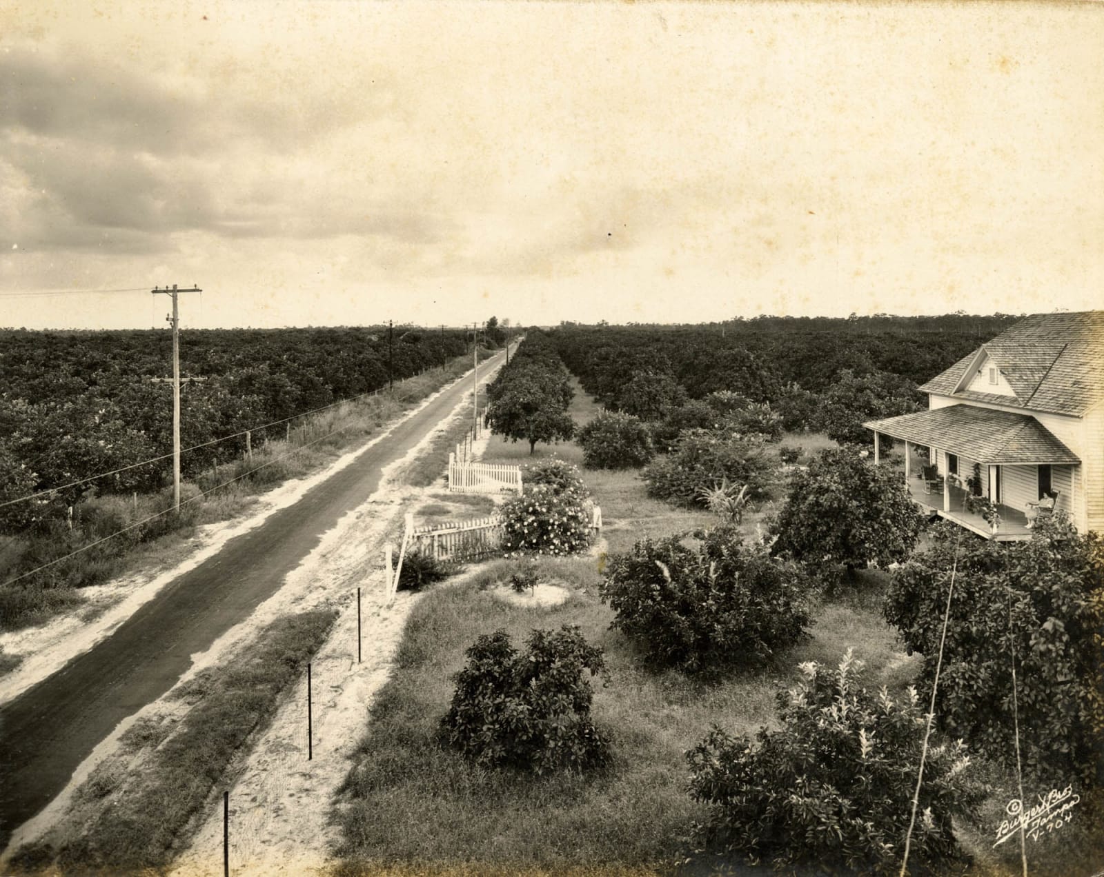 Burgert Brothers, Trio of Albums with Dynamic Views of St. Petersburg, Florida, 1920s-40s