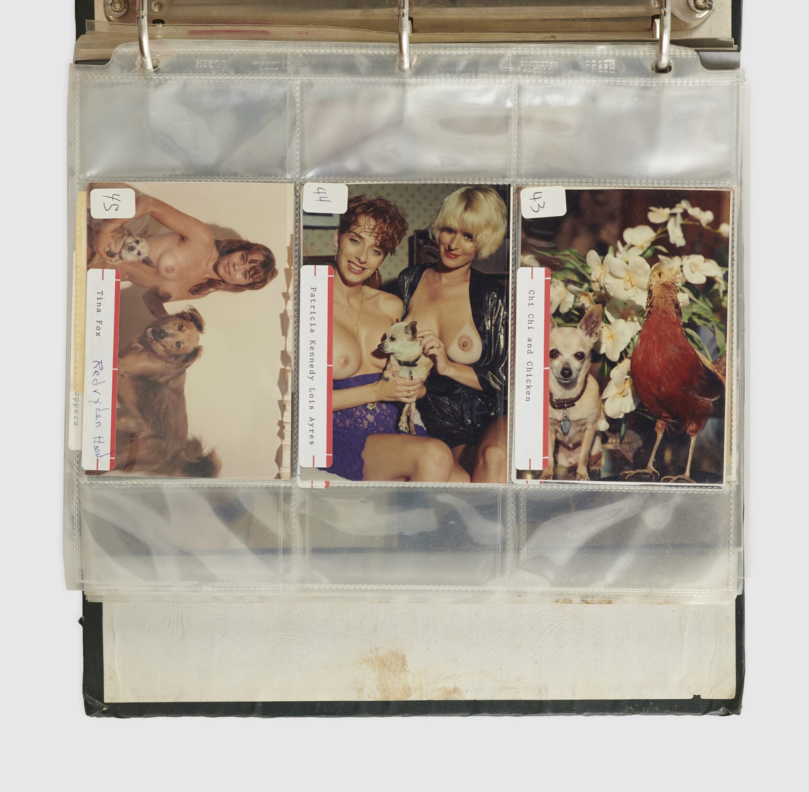 Titus Moede (Moody), Chi-Chi's Angels, 1980s-90s