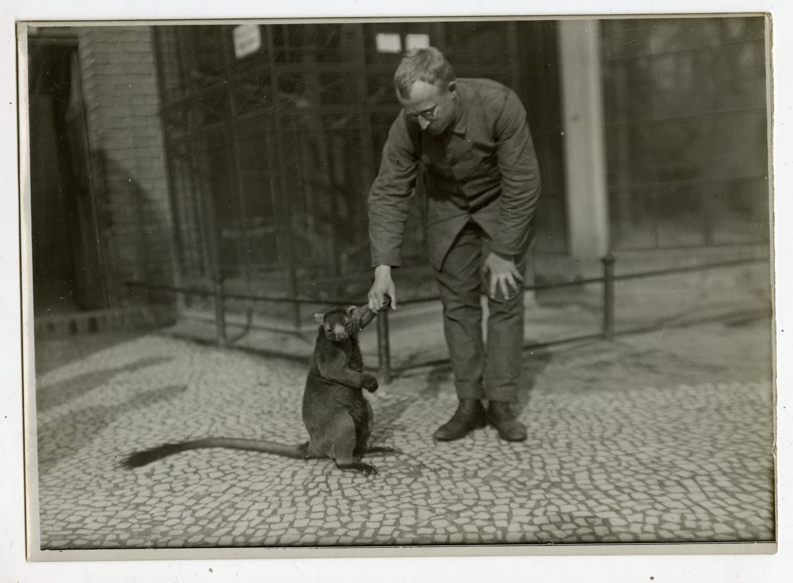 Henry Hill, Photos Demonstrating "Some Ways For Strange Animals", 1909
