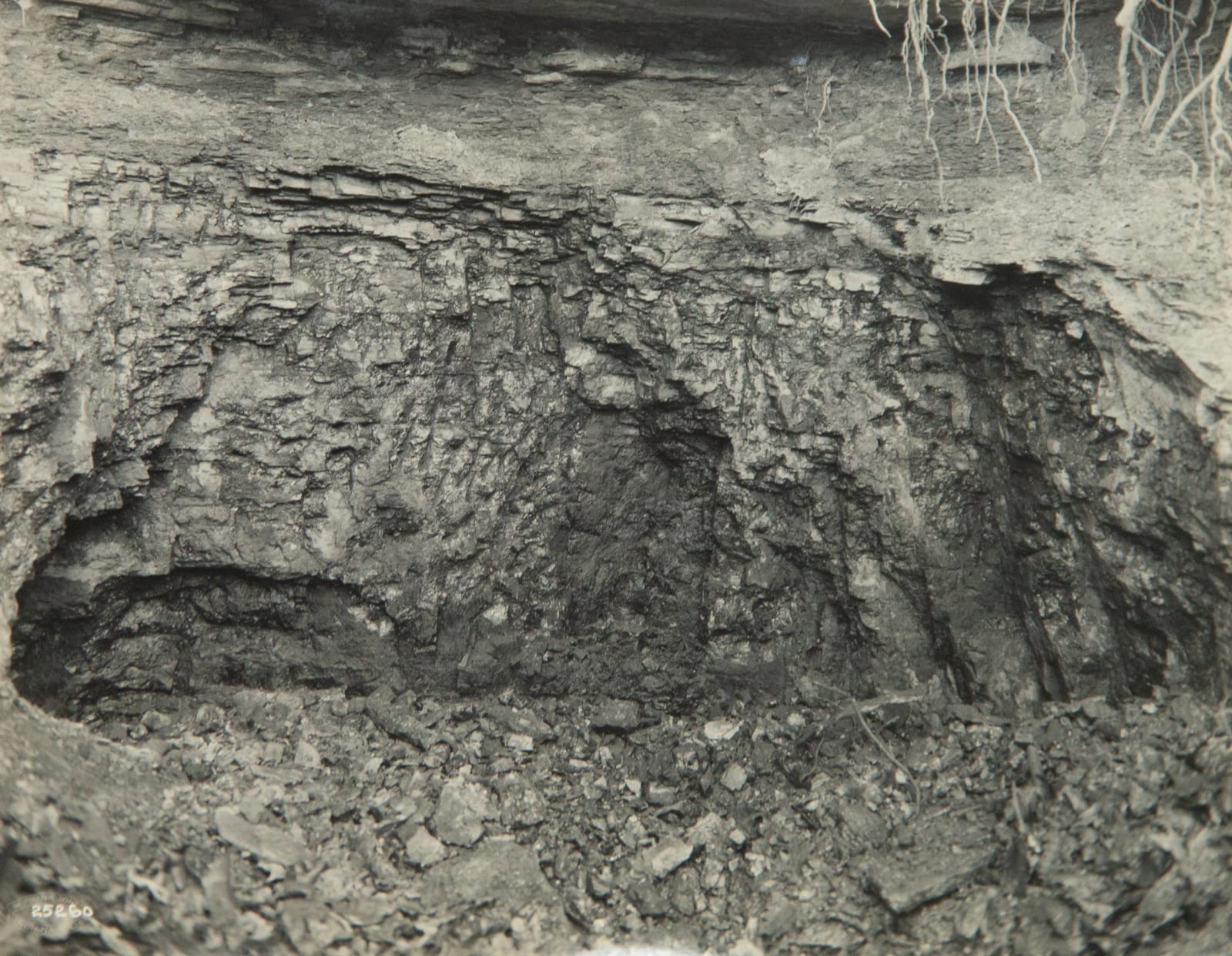 W. Frank Jones, Company album for the Minnessee Coal and Timber Co., c. 1920