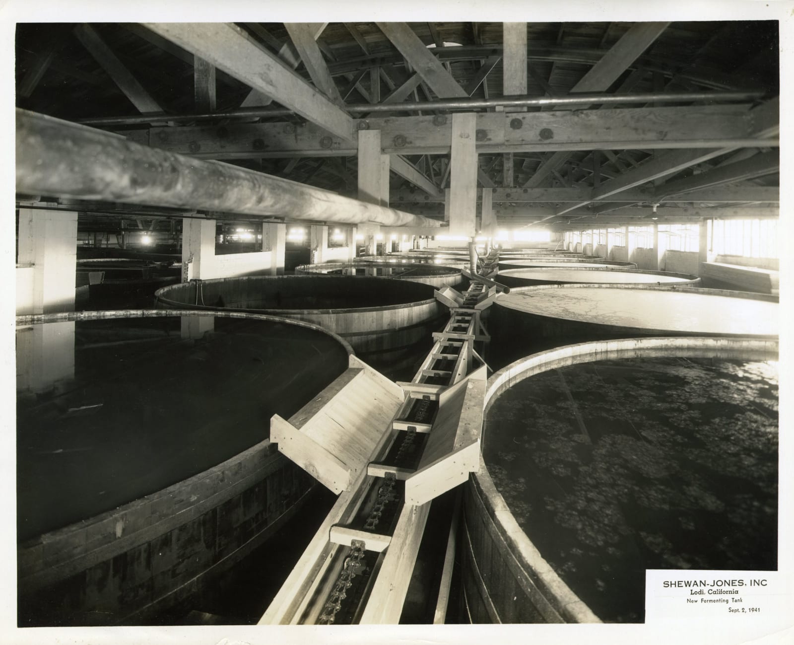[Shewan-Jones], Group of Photos Documenting Wine and Brandy Makers in Lodi, CA, 1941