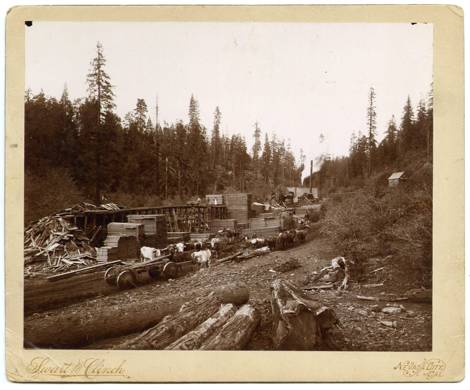 [Nevada County, California], Substantial and Important Collection of 19th and Early 20th-Century Photos of Nevada City, Grass Valley, and other Mining Towns, 1860s-1920s