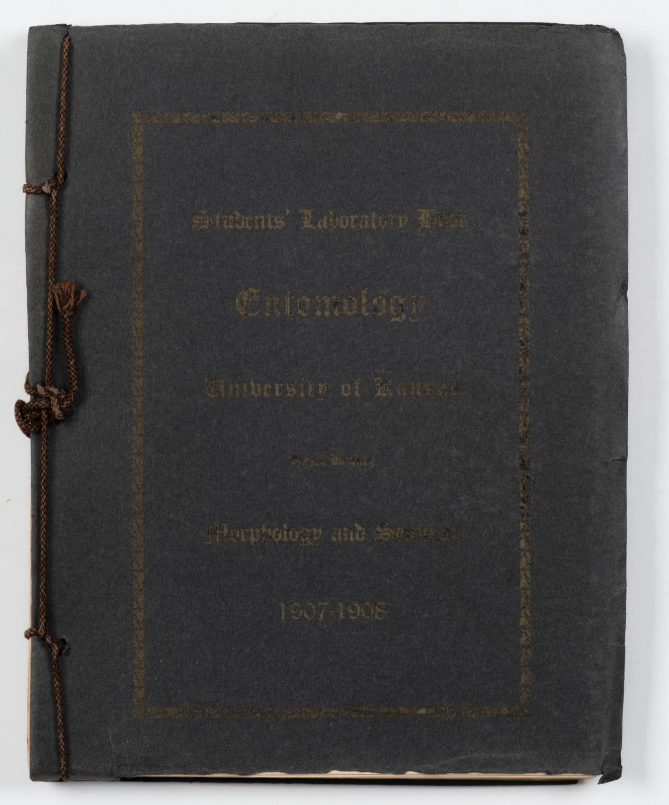 [Entomology], Student's laboratory book including microphotographs and delicate studies in colored ink of specimens under the microscope., 1907-08