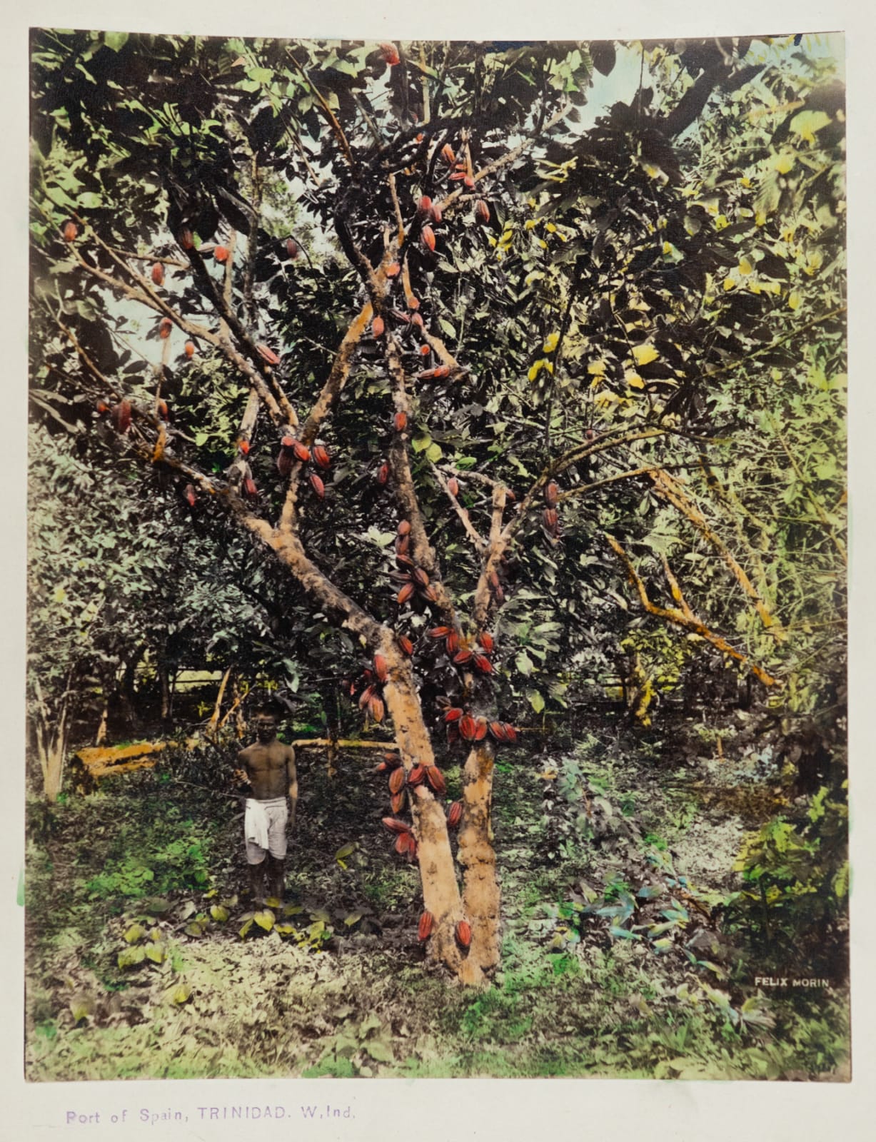 Felix Morin, Port of Spain, Trinidad, 1880s