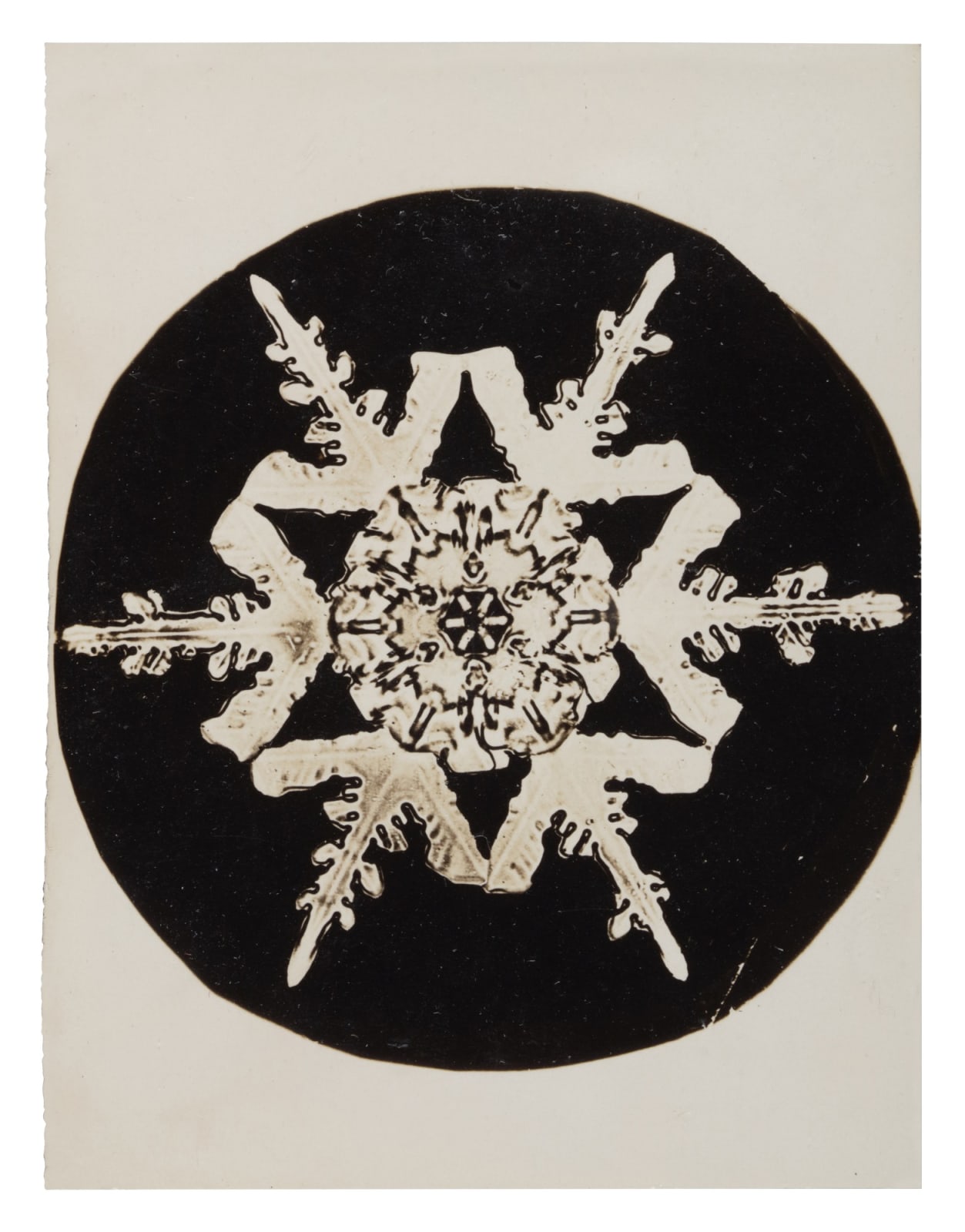 Wilson A. Bentley, Snowflake, c. 1900-1910