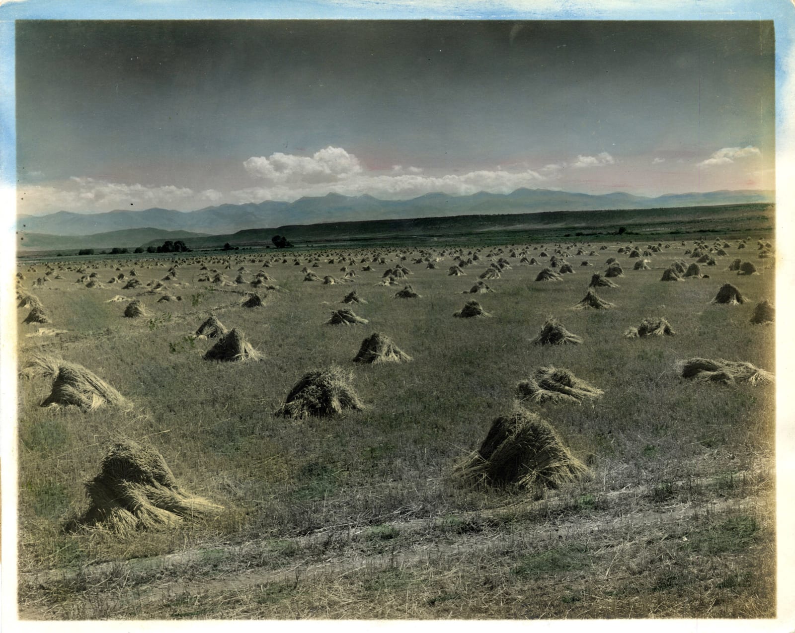 O.T. Davis, Hand-Colored Photos of a Colorado Farm, 1920s