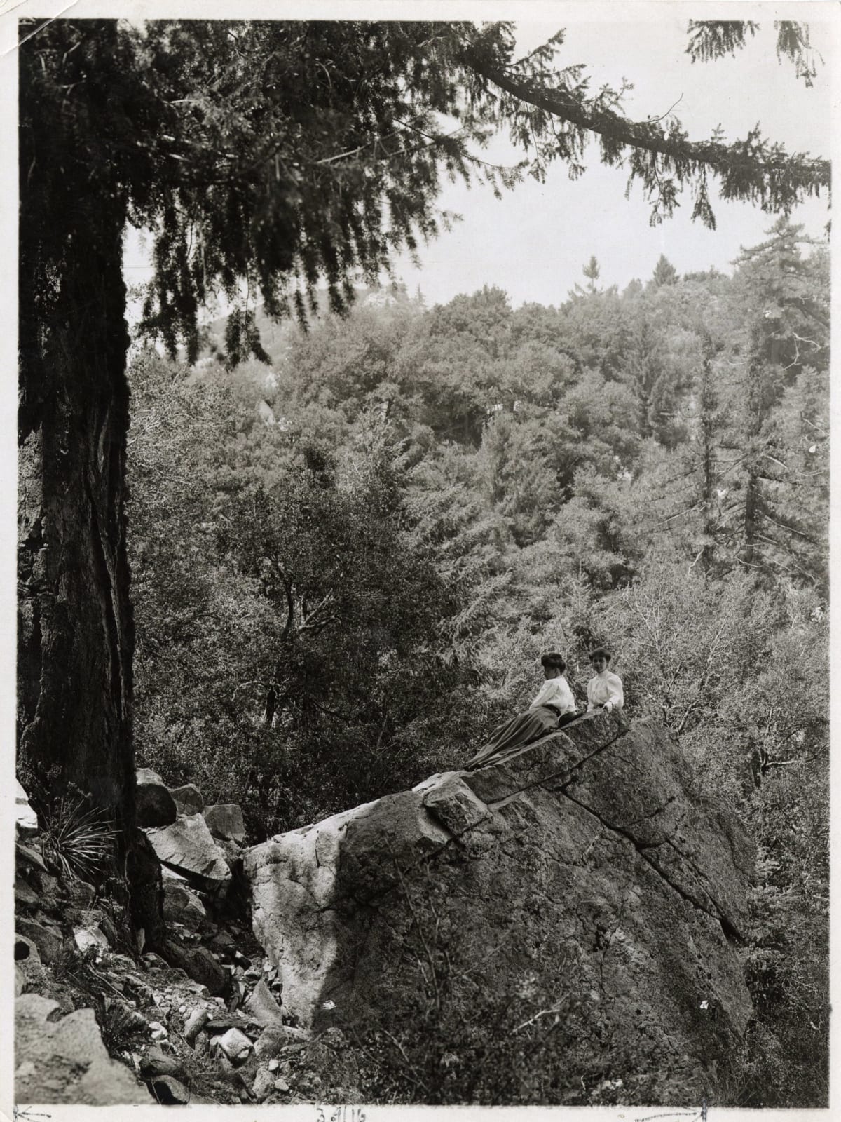 Various Photographers, Group of Photographs of Mt. Wilson, c. 1900-1920