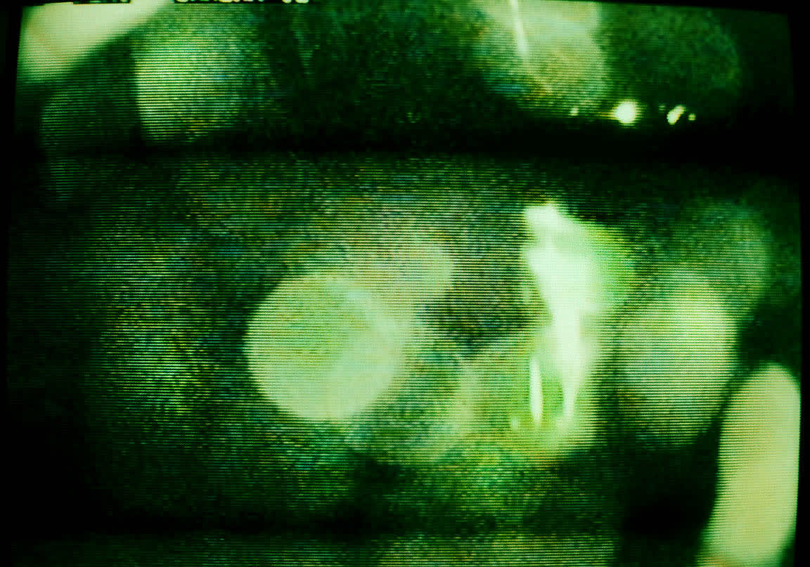 KALI, Untitled (Figure #2), Pacific Palisades, CA, 2004