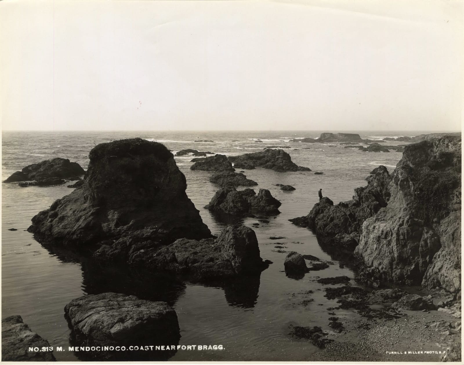Turrill & Miller, Early 20th-Century Views of Medocino and Sonoma Counties, 1900s