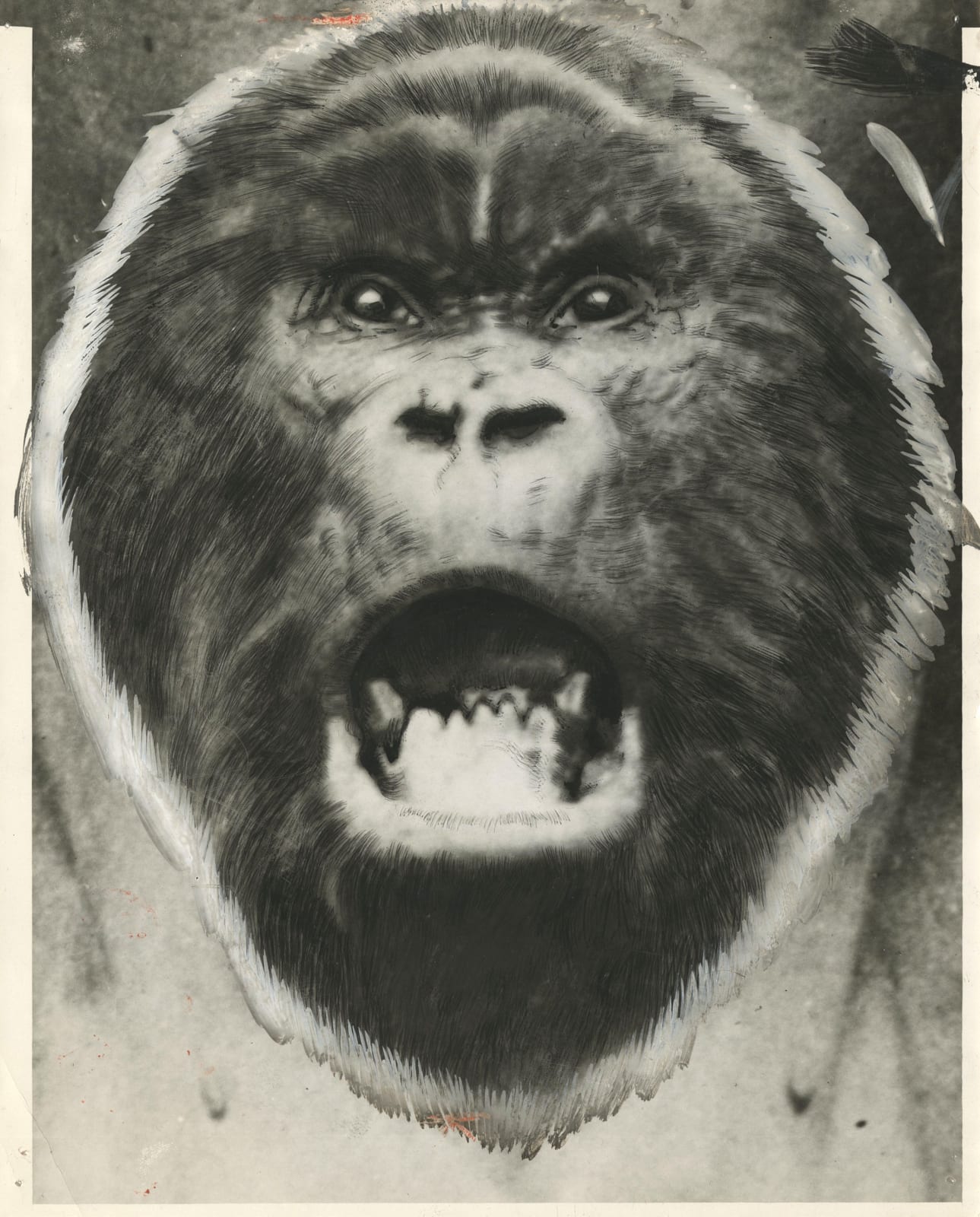 Anonymous, Face of a Gorilla, 1928