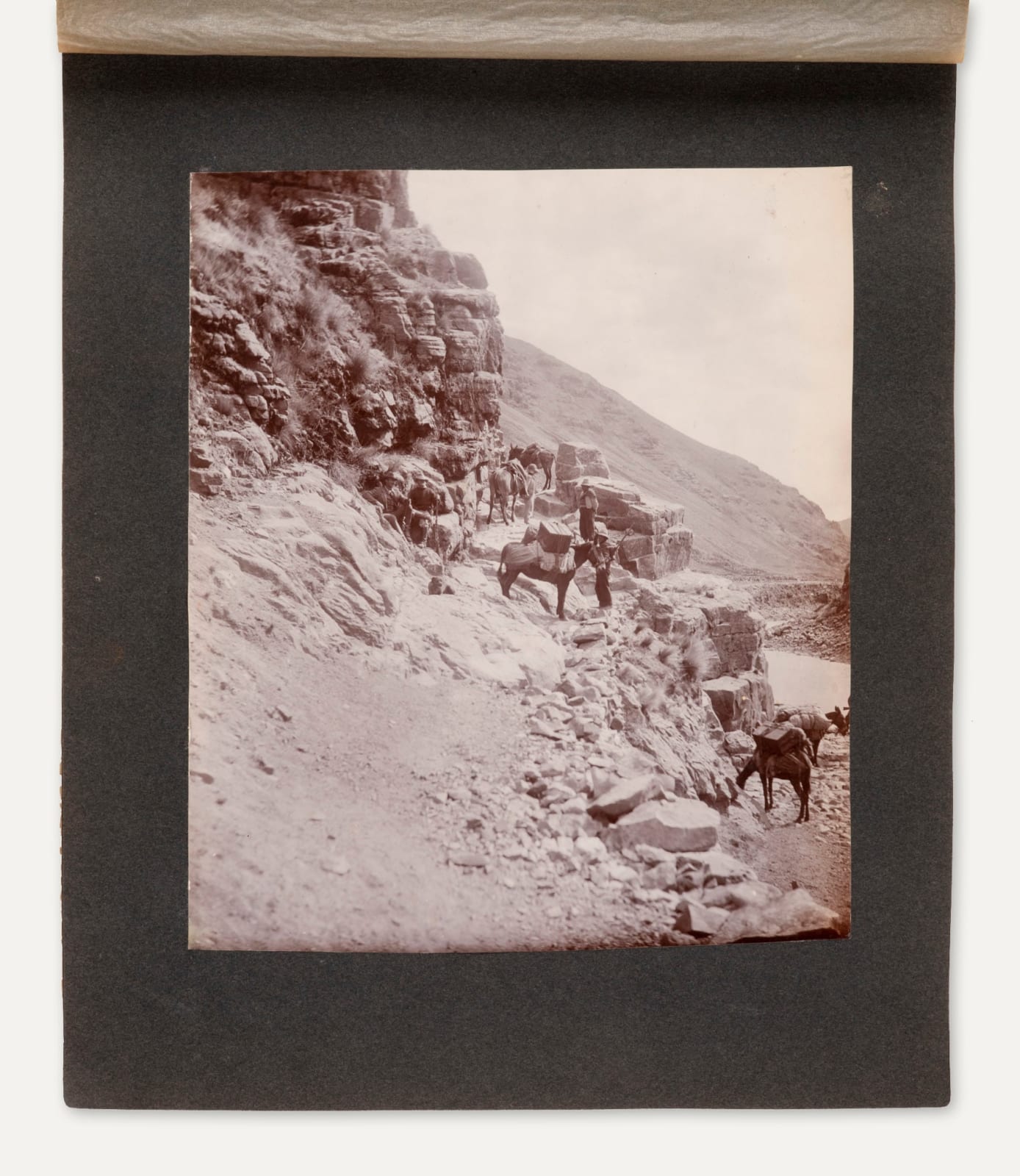W.T. Burres, Photographic Archive of a Californian Adventurer and Doctor in South America, 1903-1918