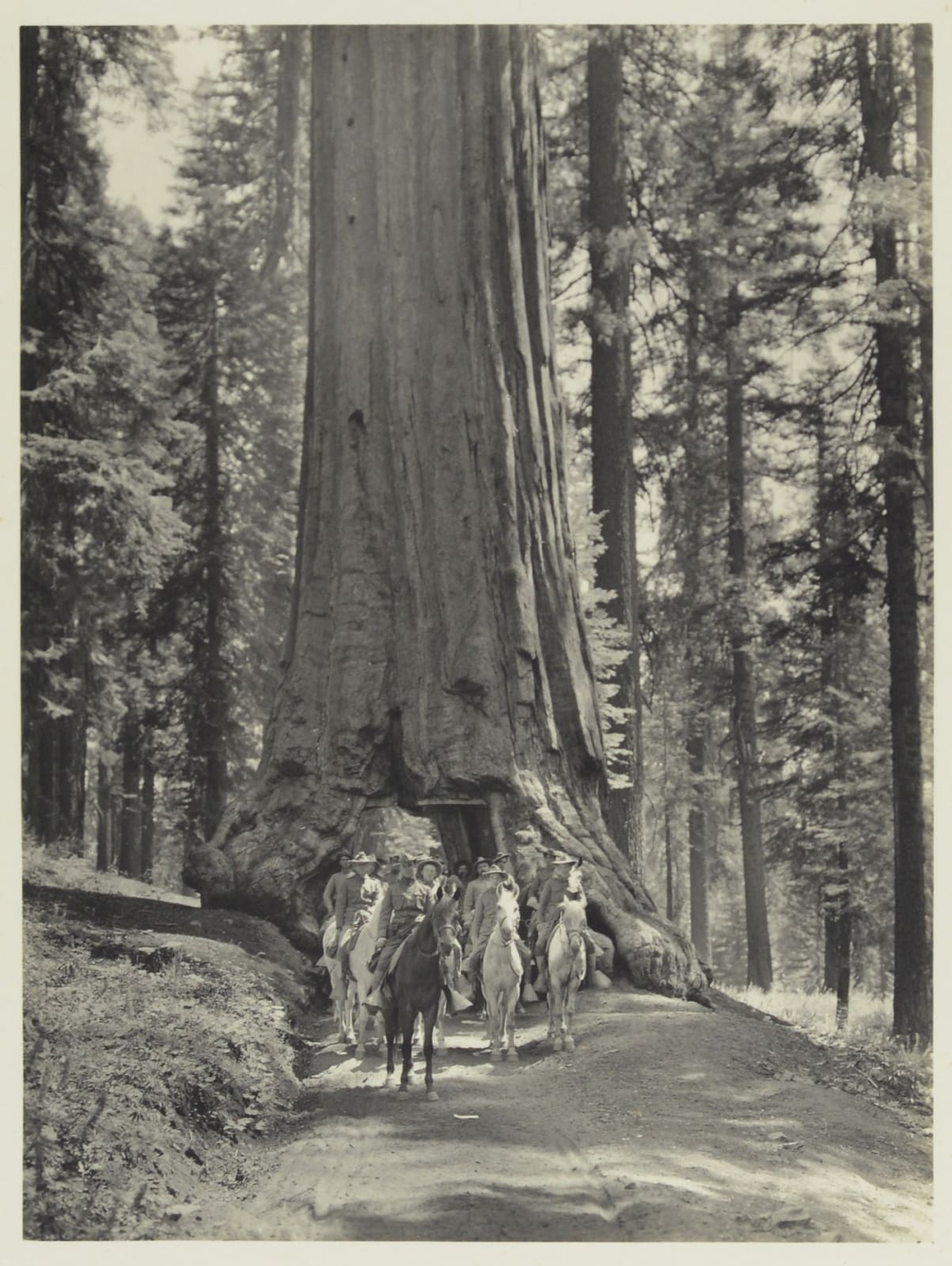 [Pan Pacific International Exposition], Album of San Francisco and vicinity, 1915