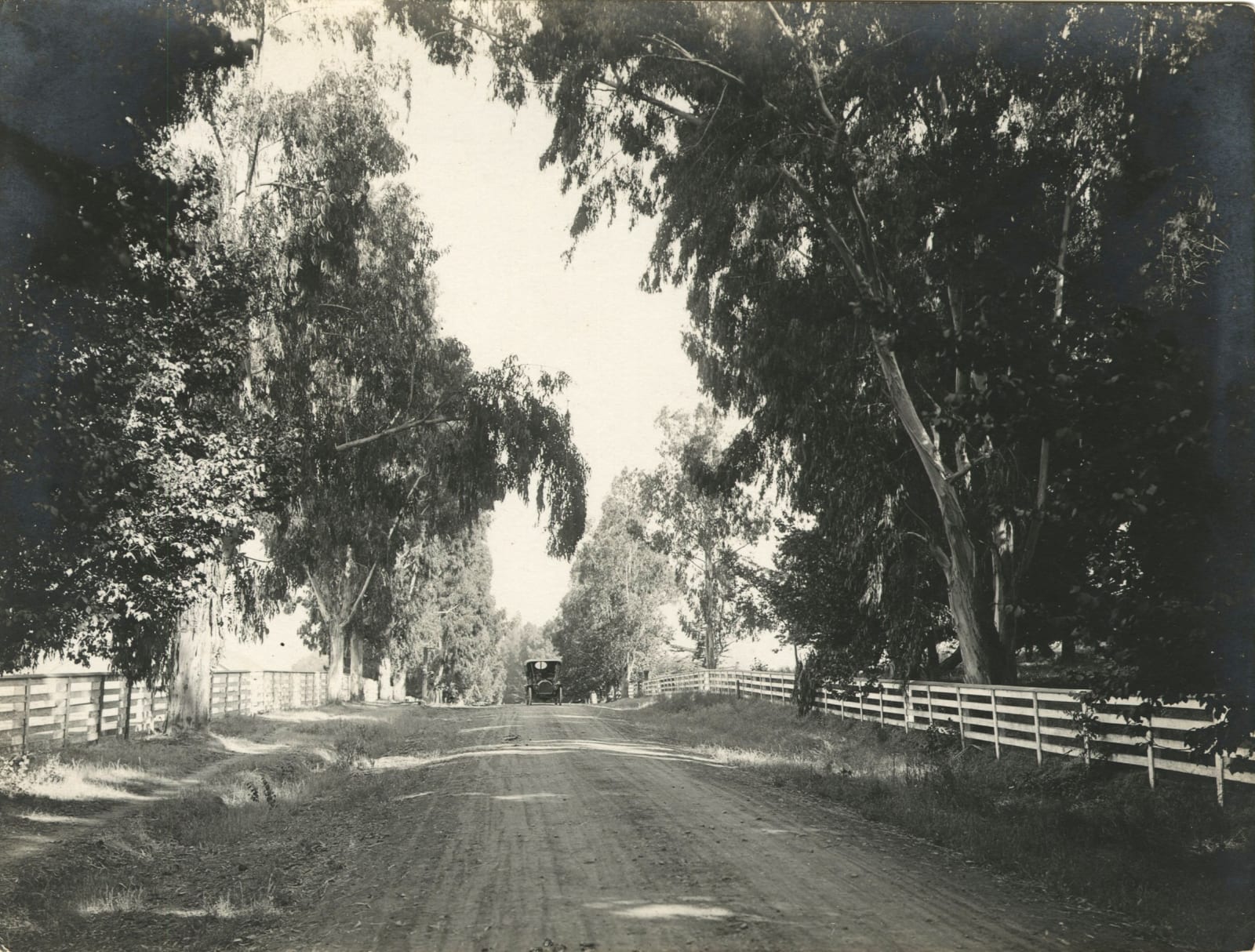[Moon Motor Car Co.], Promotional Photos of Drivable Locations in California and Mexico, 1910s