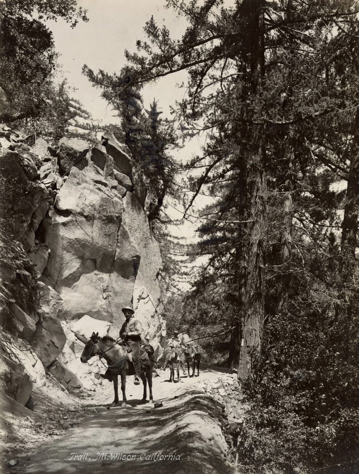 Various Photographers, Group of Photographs of Mt. Wilson, c. 1900-1920