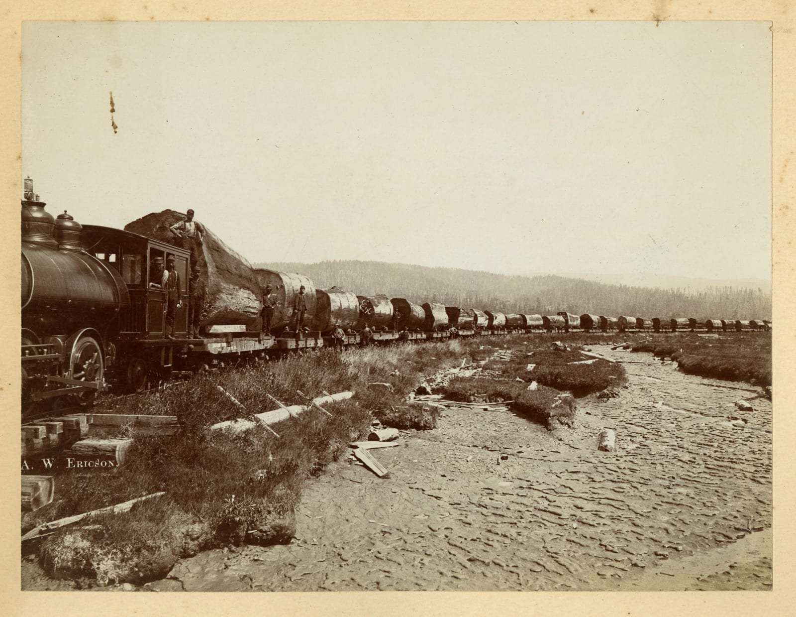 A. W. Ericson; Ericson & Bros, Early, Large-Format Views of the Lumber Industry In and Around Arcata, CA, 1880s